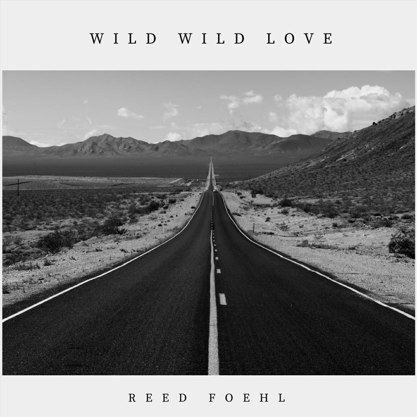 Релиз Wild Wild Love