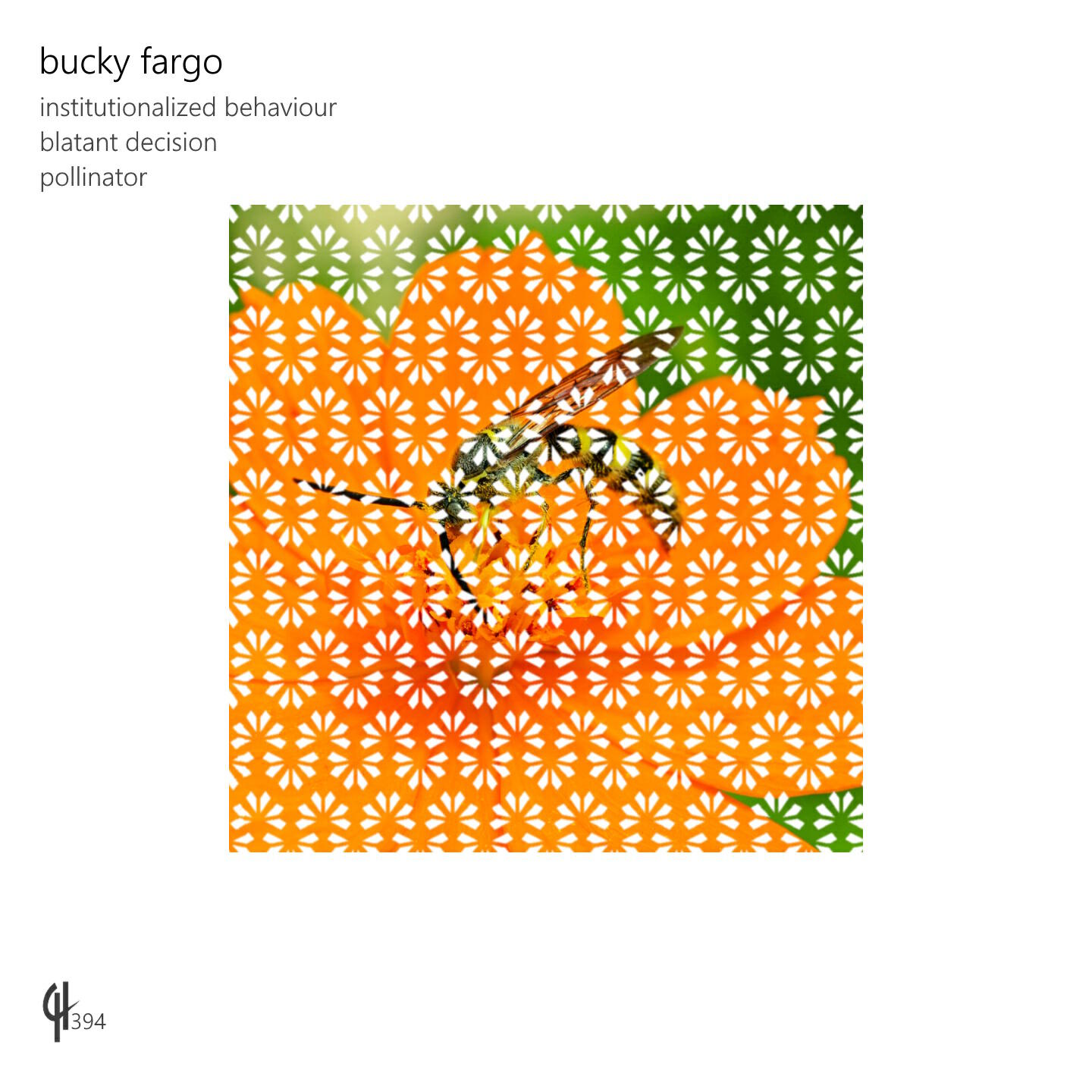 Bucky Fargo
