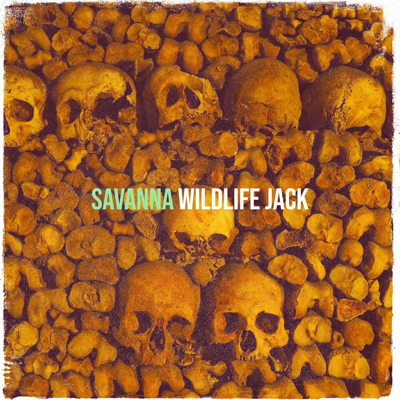 Wildlife Jack