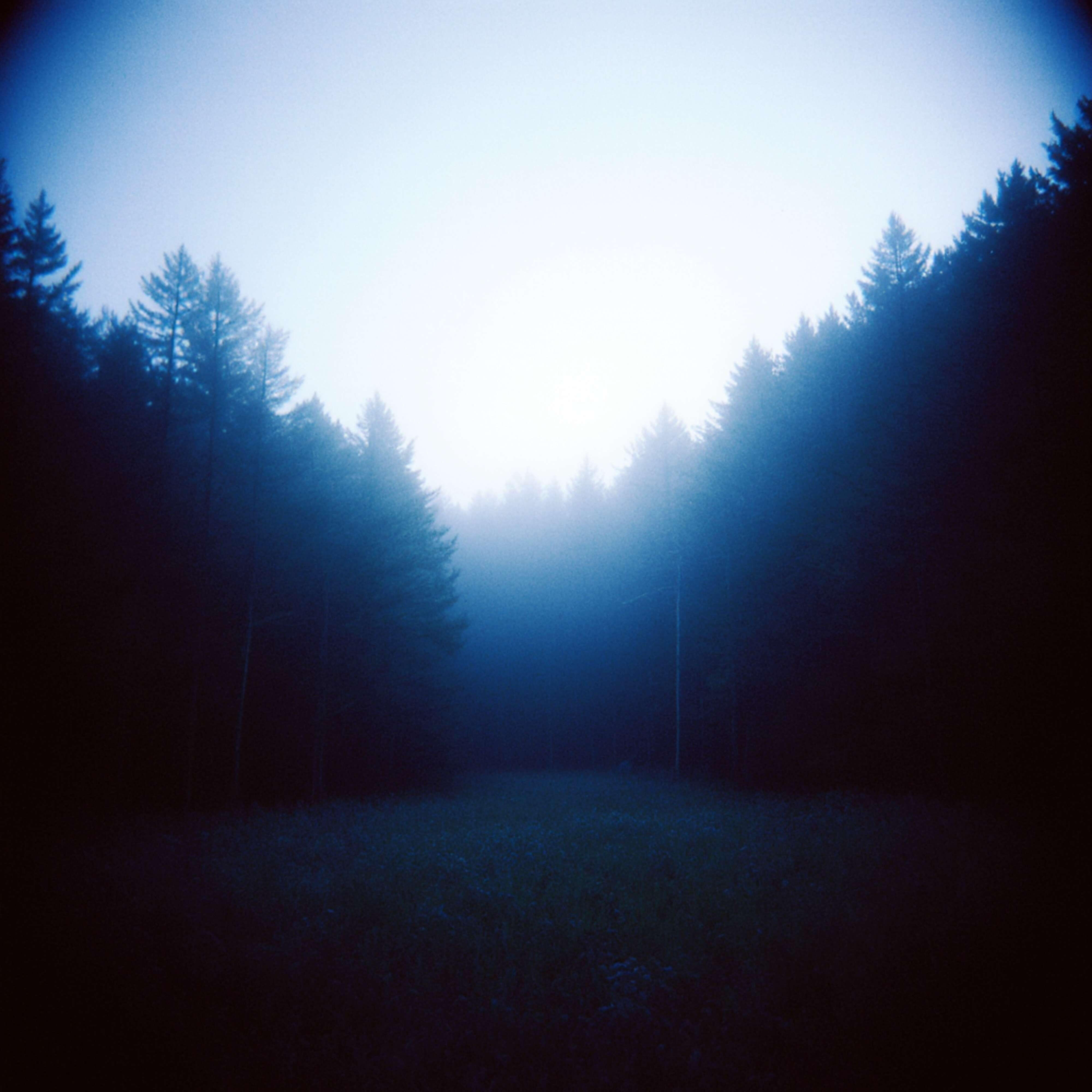 Релиз silhouette
