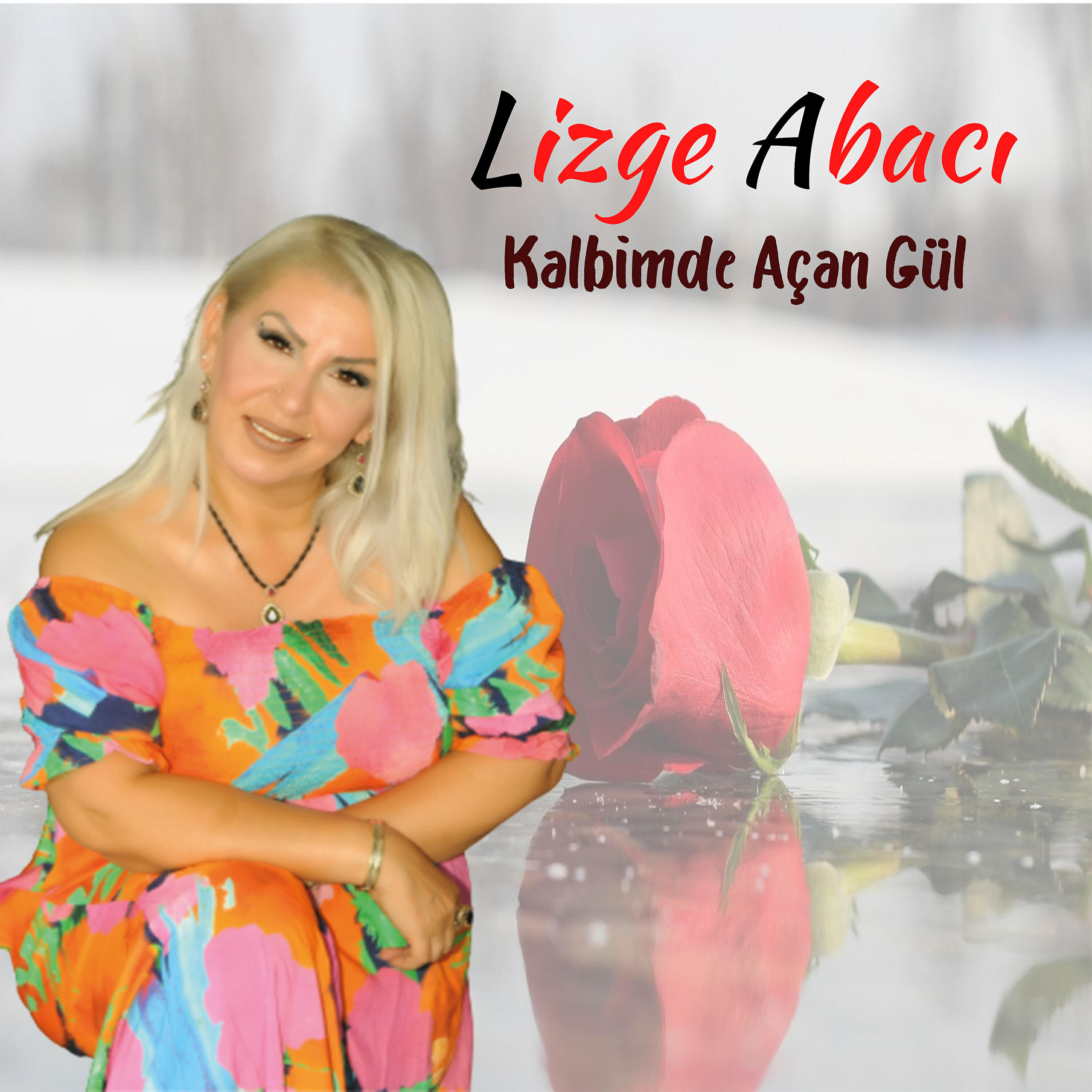 Lizge Abacı