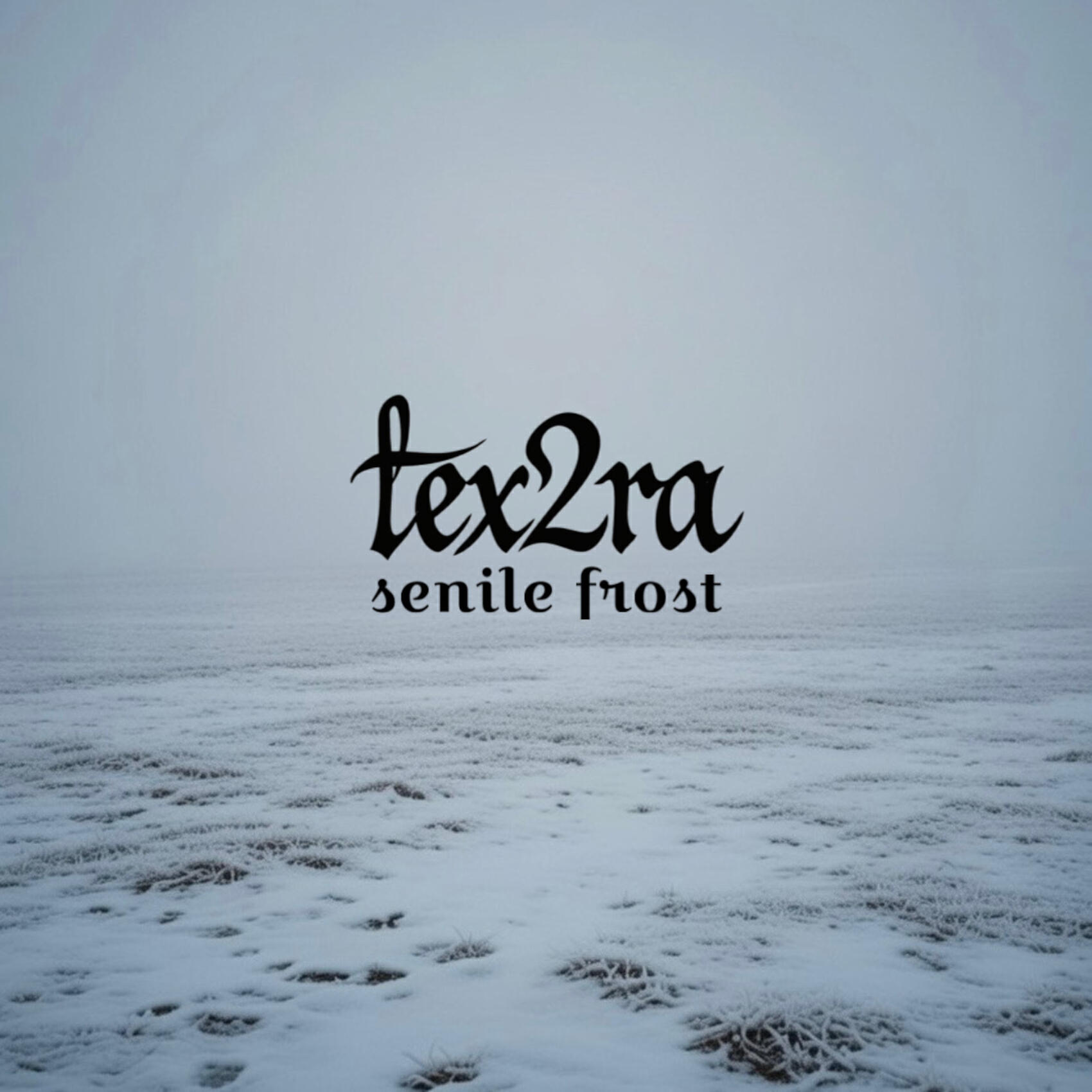 Релиз senile frost