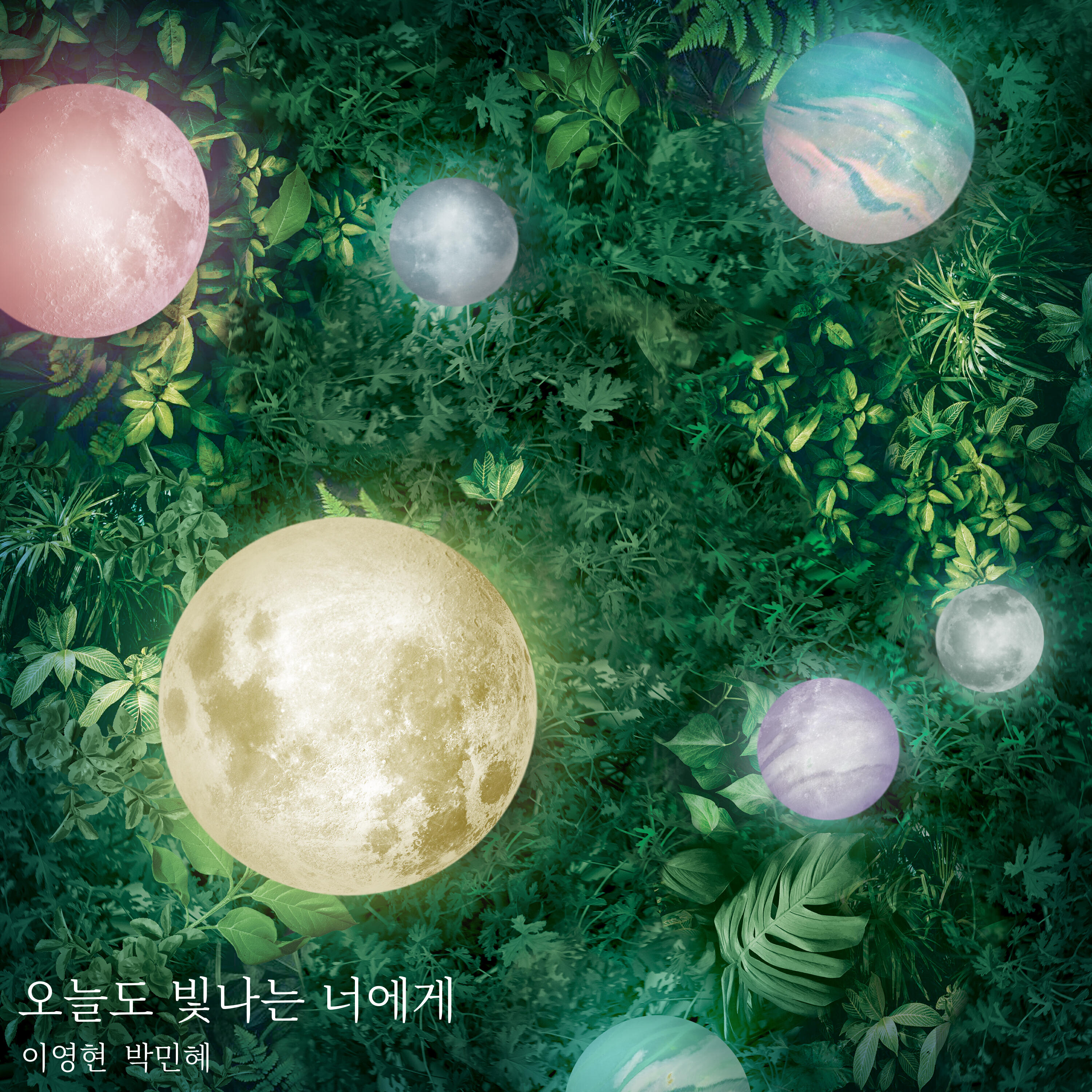 Релиз To You My Light
