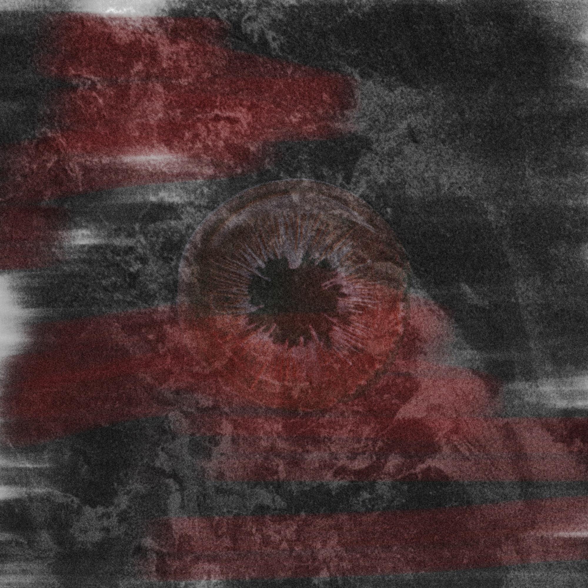 голова человека