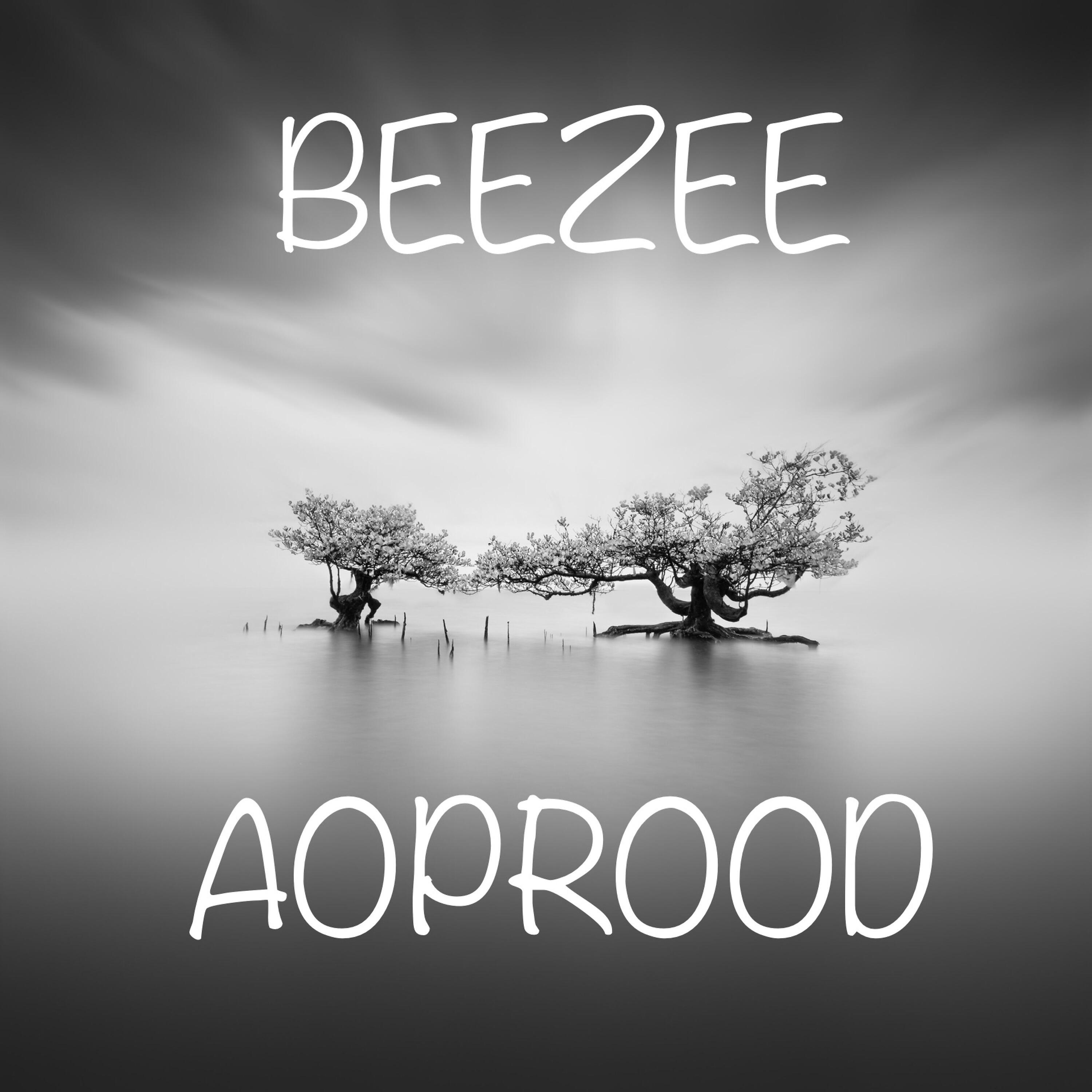Релиз Beezee