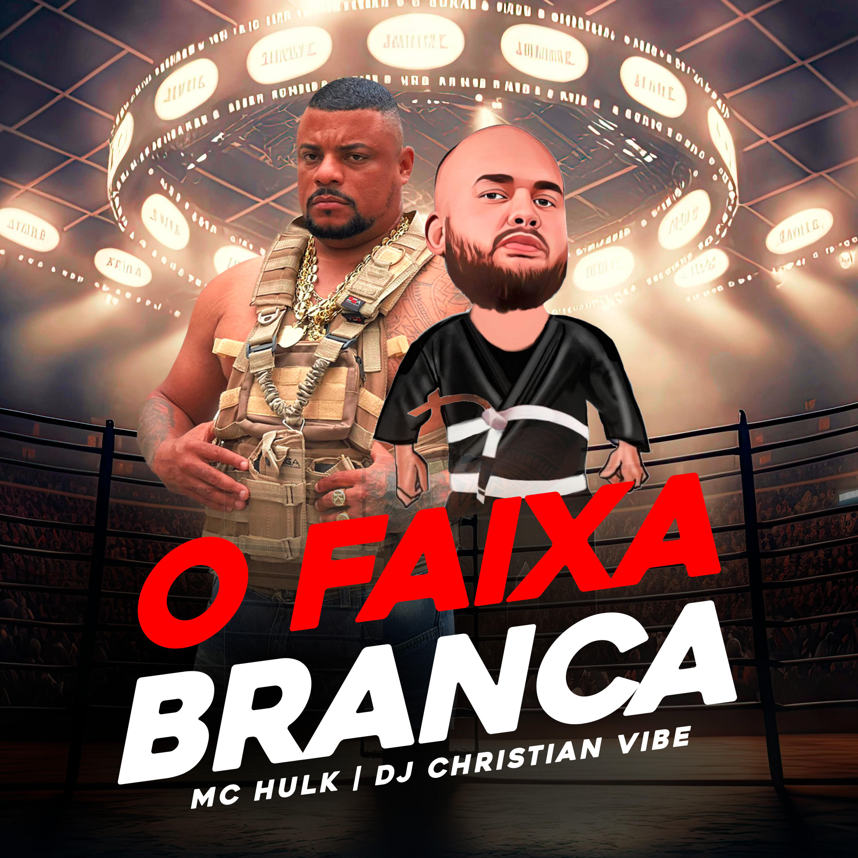 Скачать песню DJ Christian Vibe, MC Hulk - O Faixa Branca бесплатно в MP3 для Android и iOS