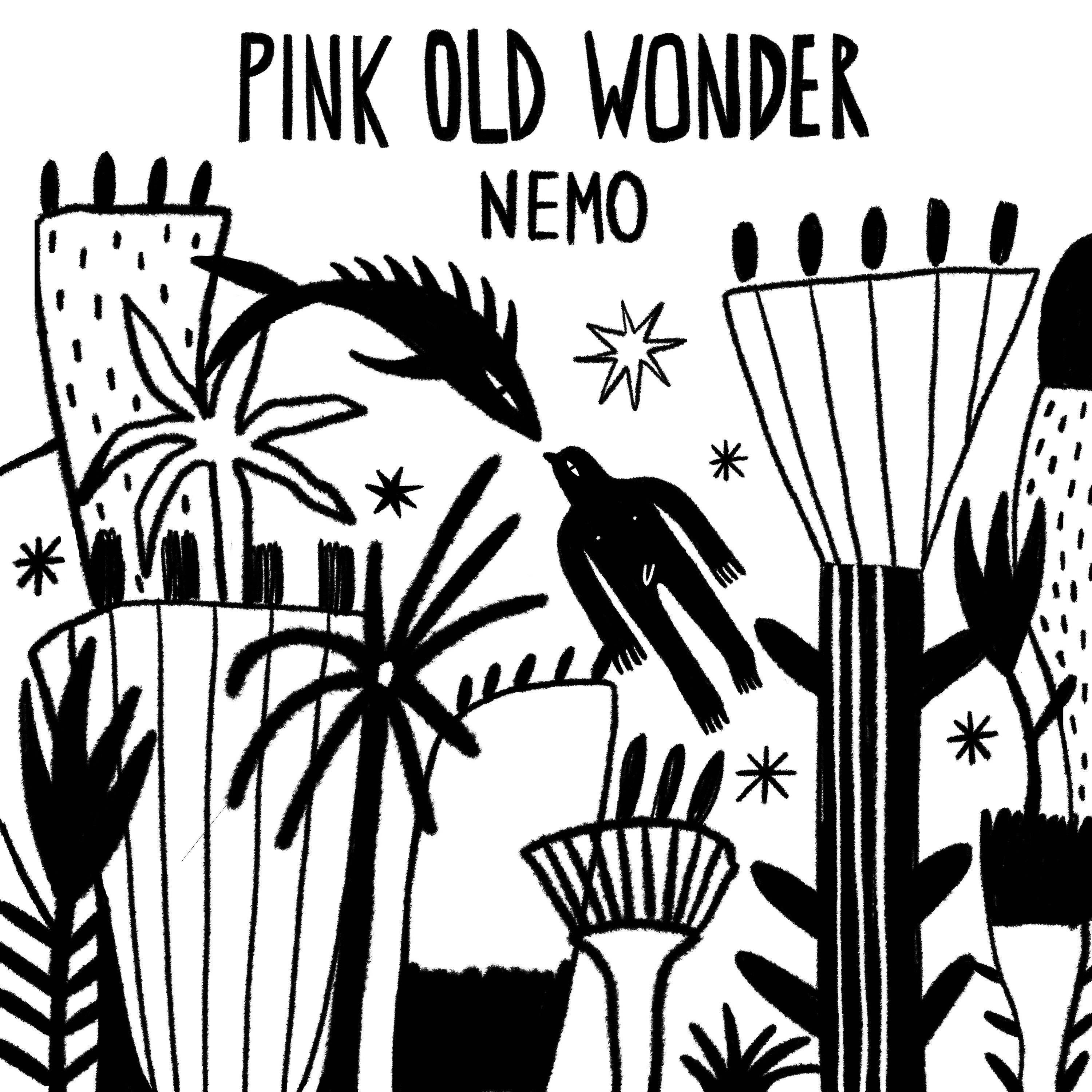 Релиз Nemo