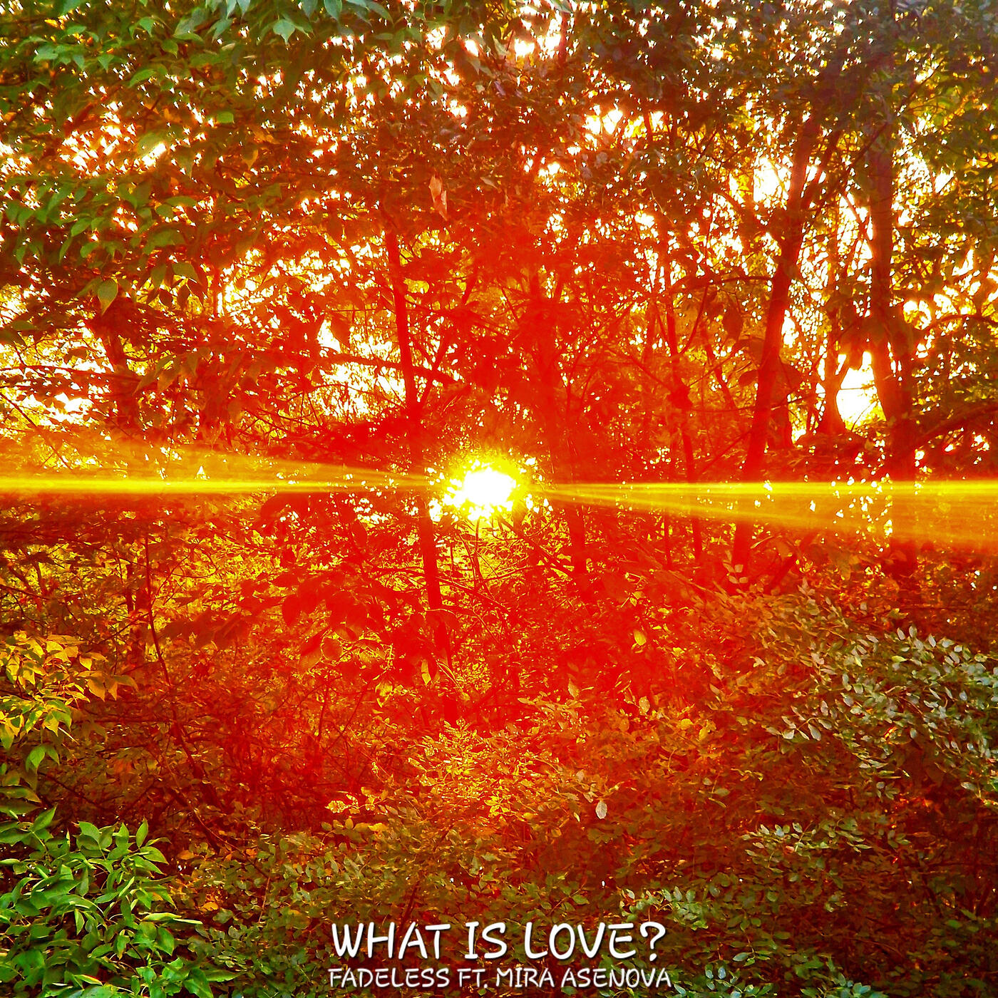 Релиз What Is Love?