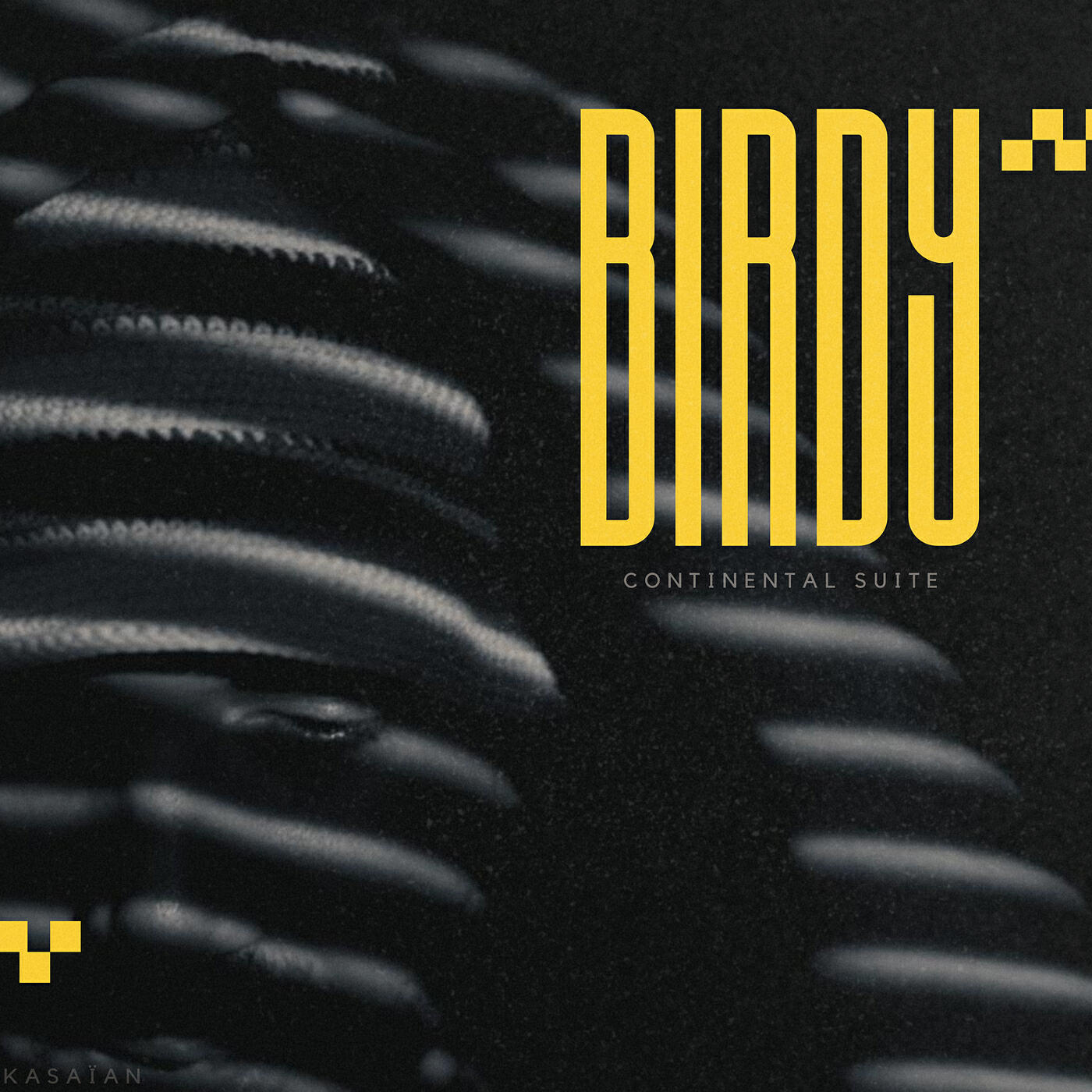 Релиз Birdy