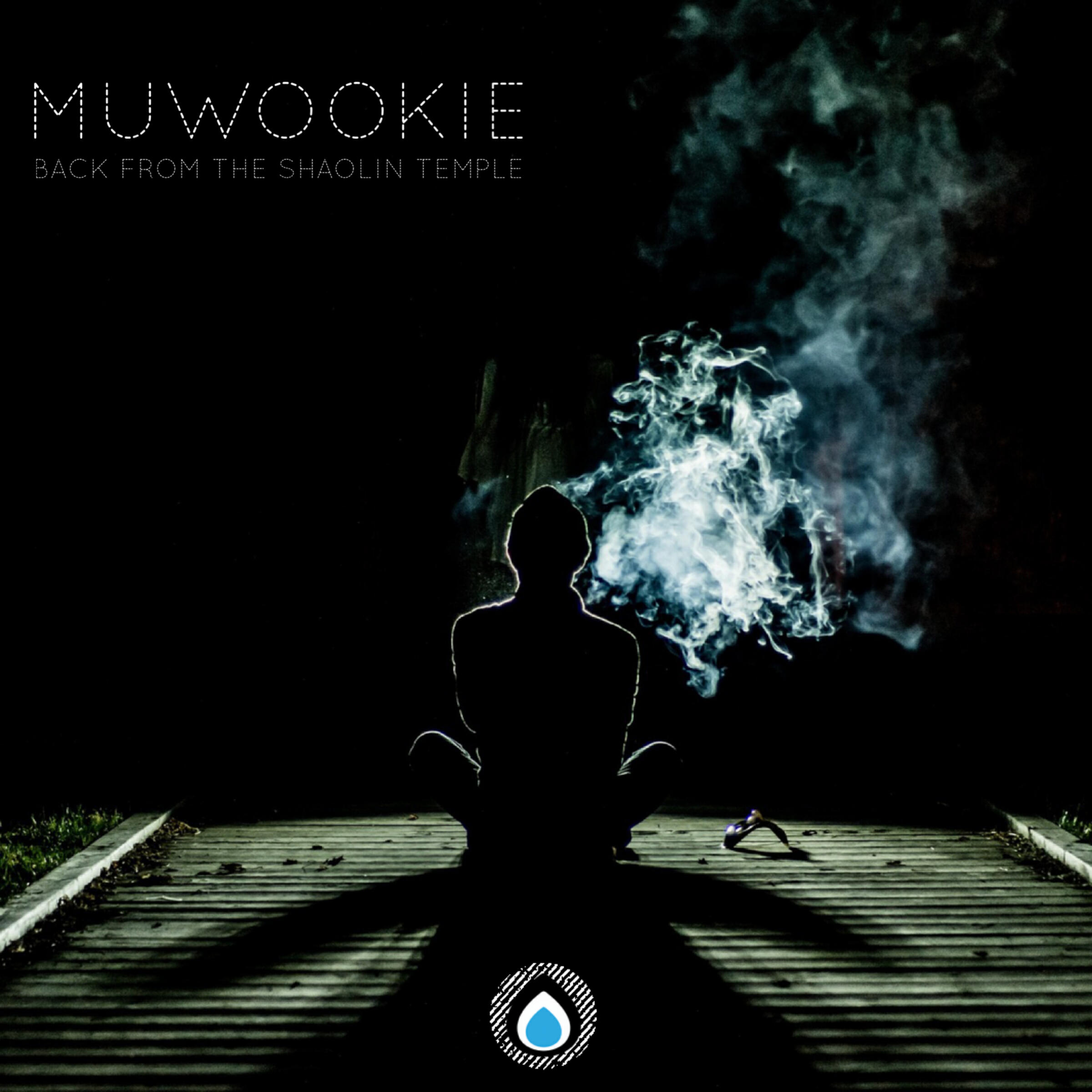 Релиз Back From The Shaolin Temple