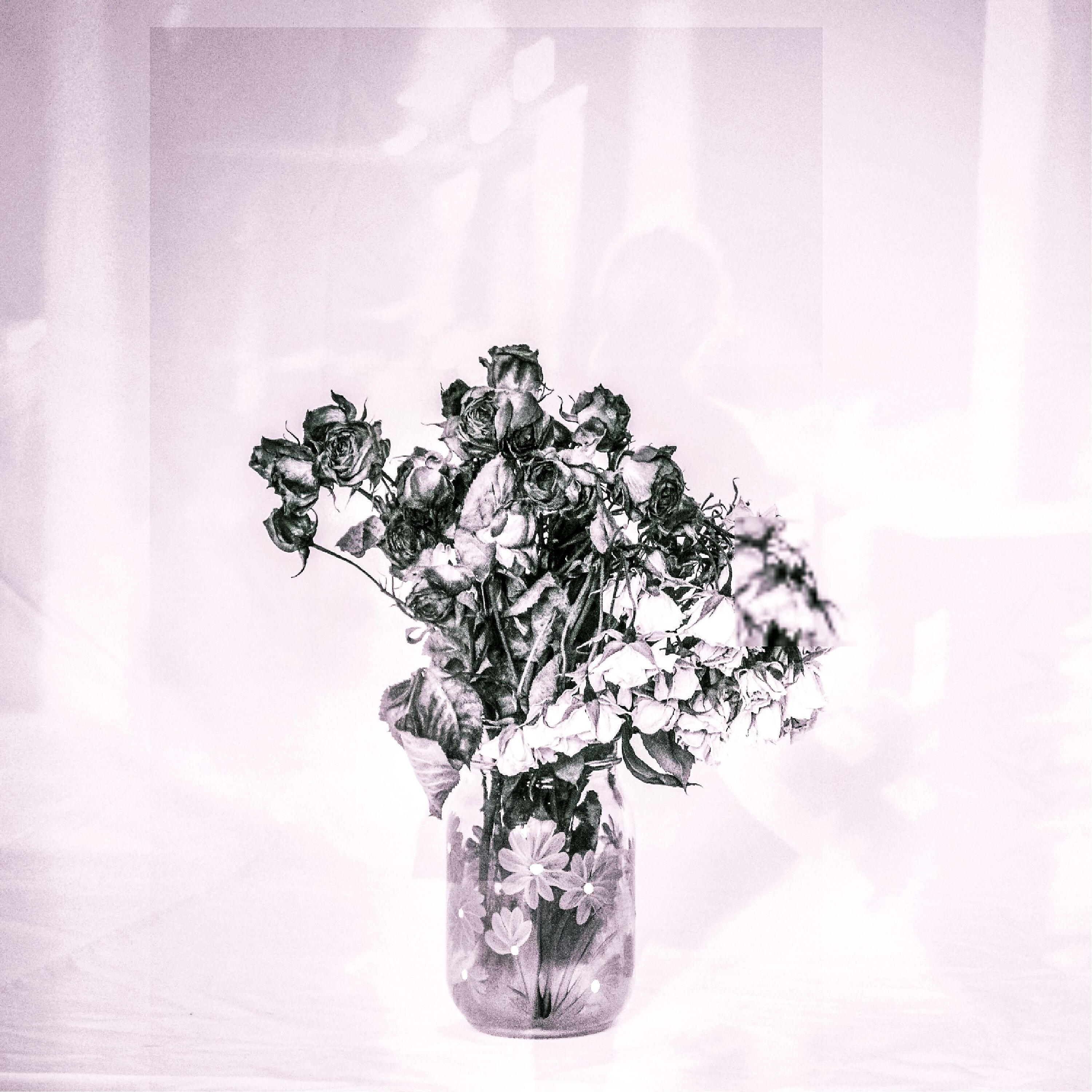 Релиз Are You There All Alone