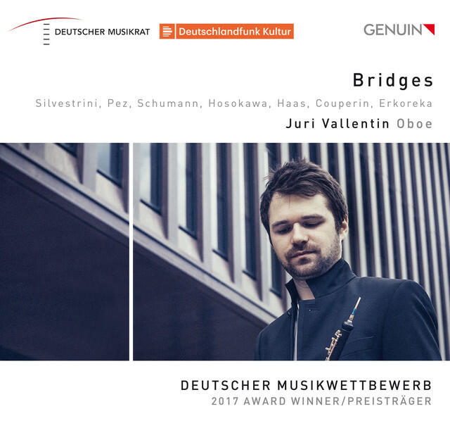 Релиз Bridges