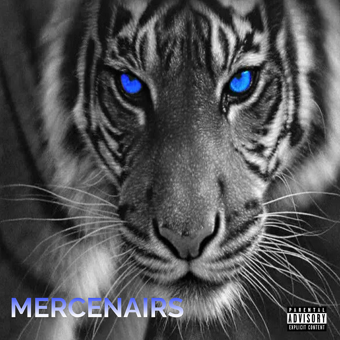 Mercenairs