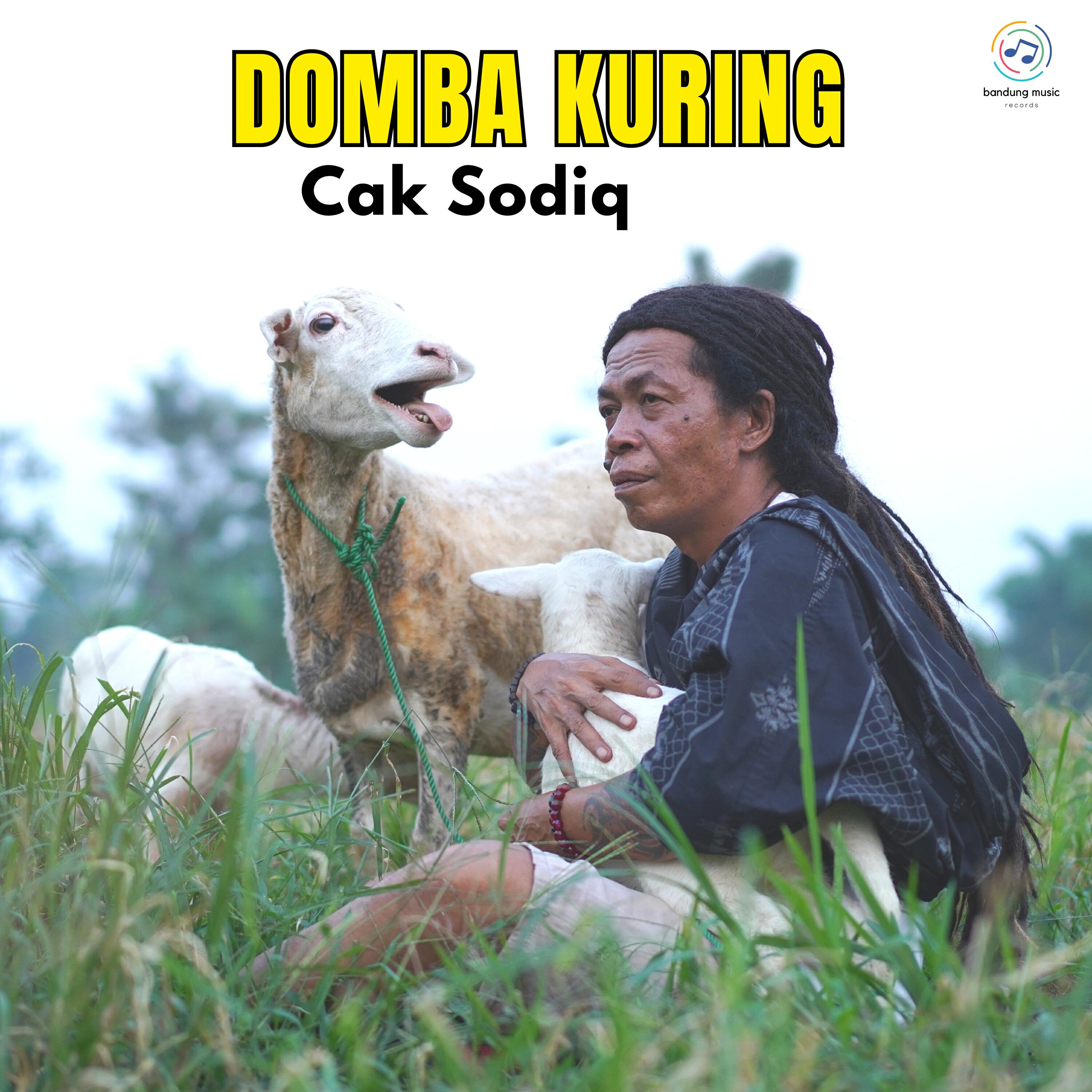 Релиз Domba Kuring