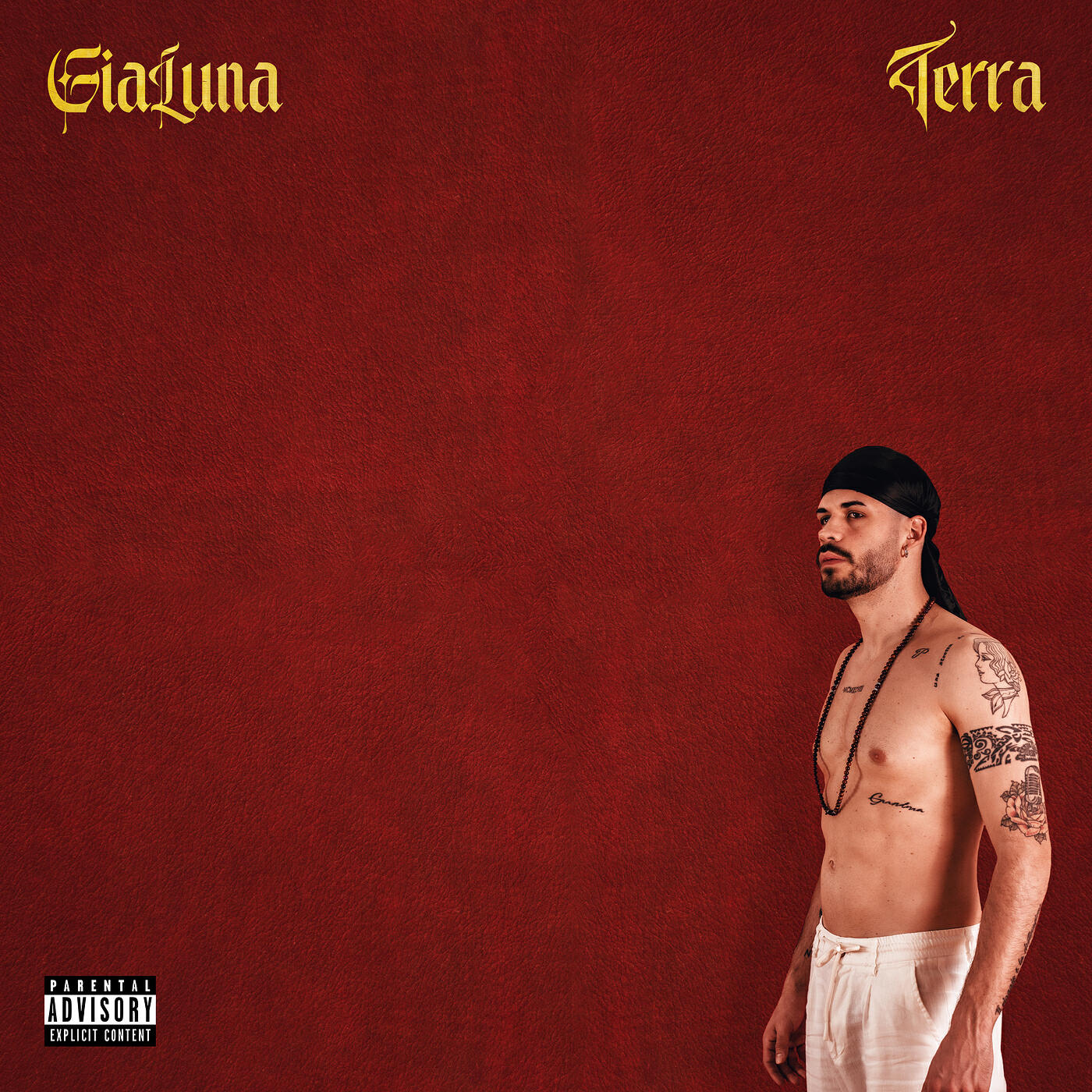 Релиз Terra