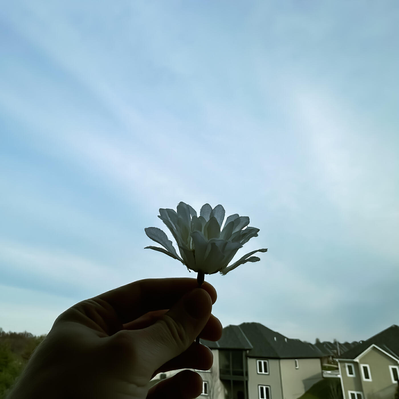 Релиз She Loves Me, She Loves Me Not