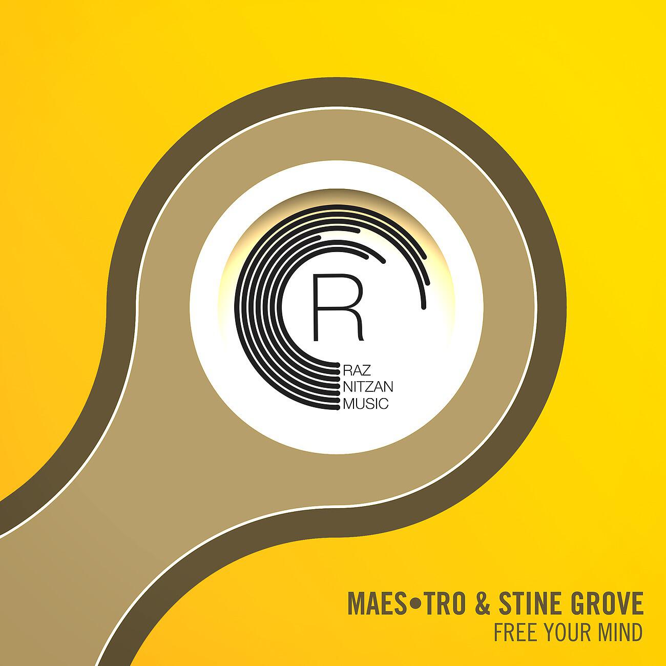Maes•tro