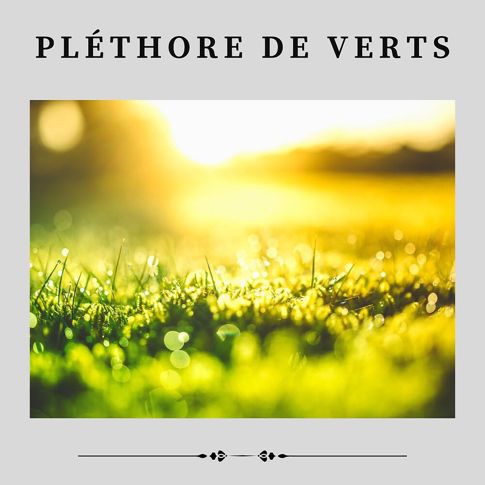 Релиз Pléthore de Verts