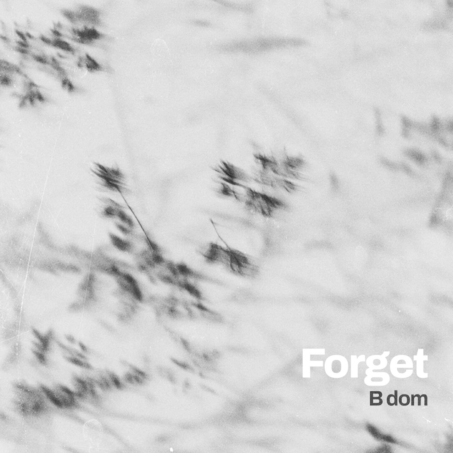 Релиз Forget