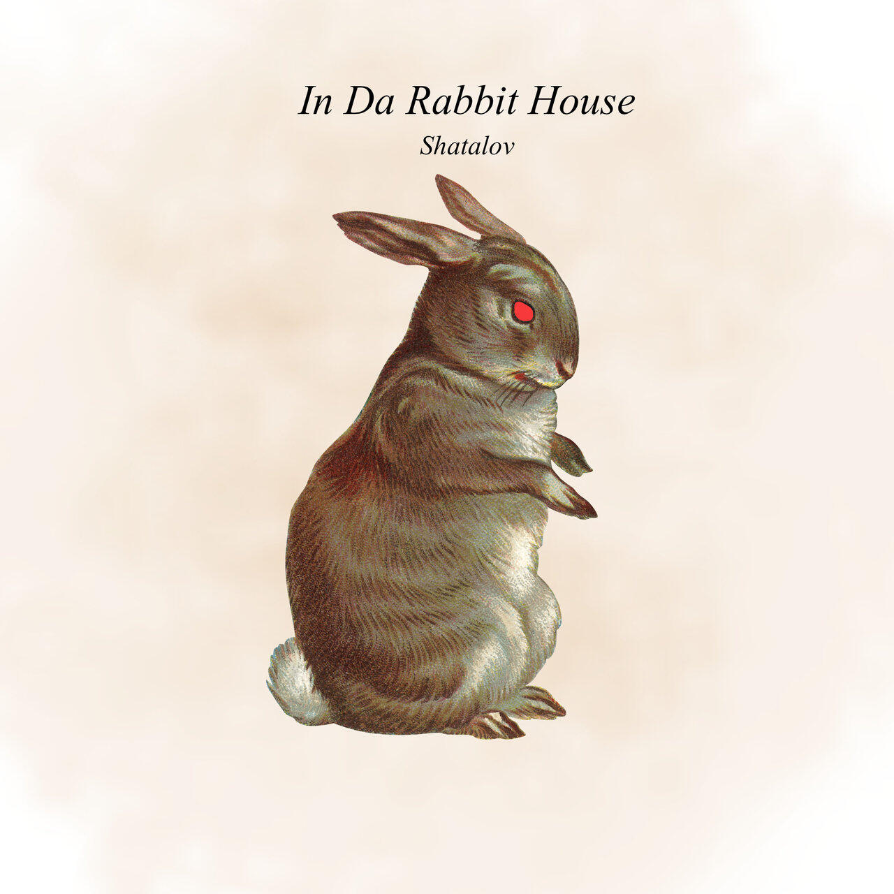 Релиз In Da Rabbit House