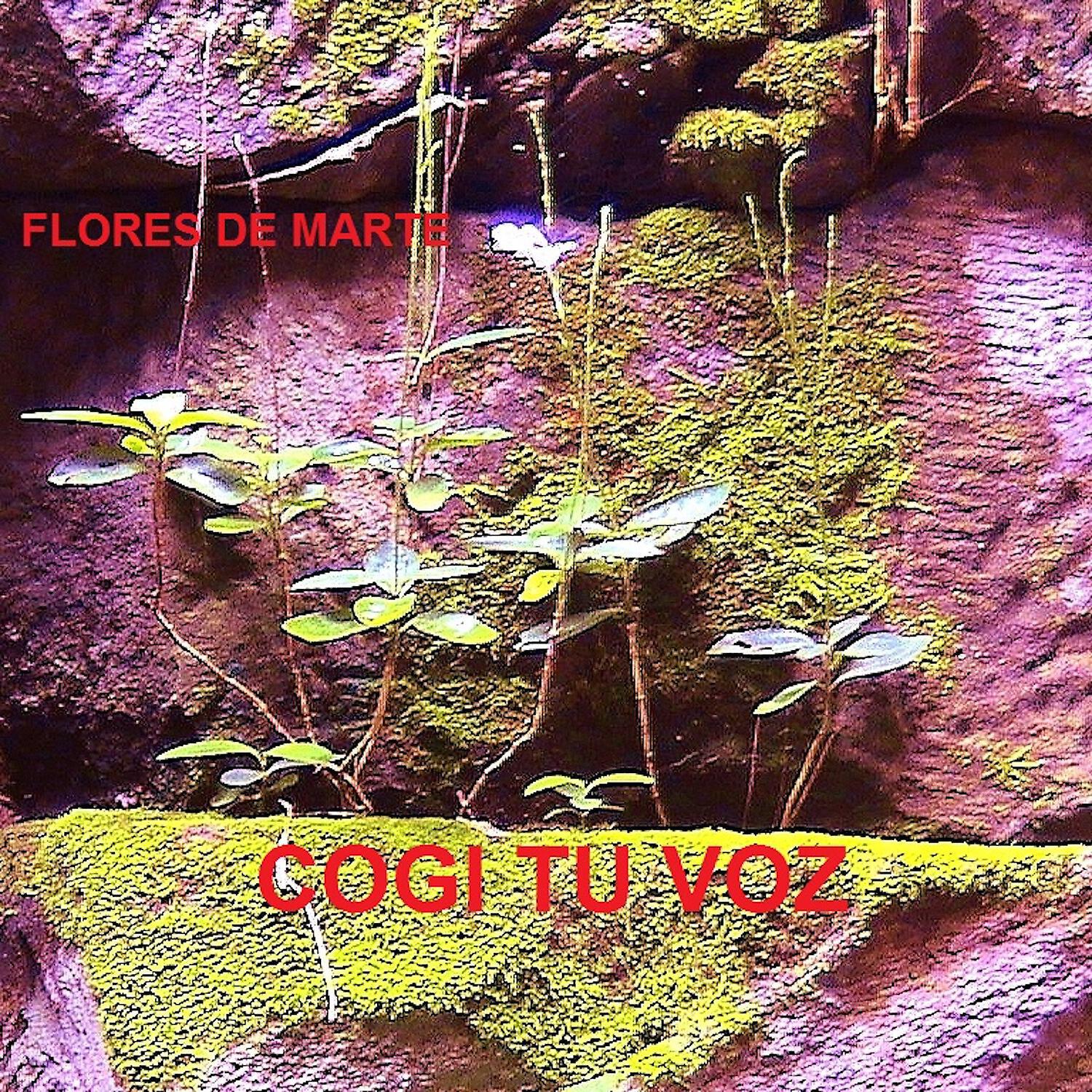 Релиз Cogí Tu Voz