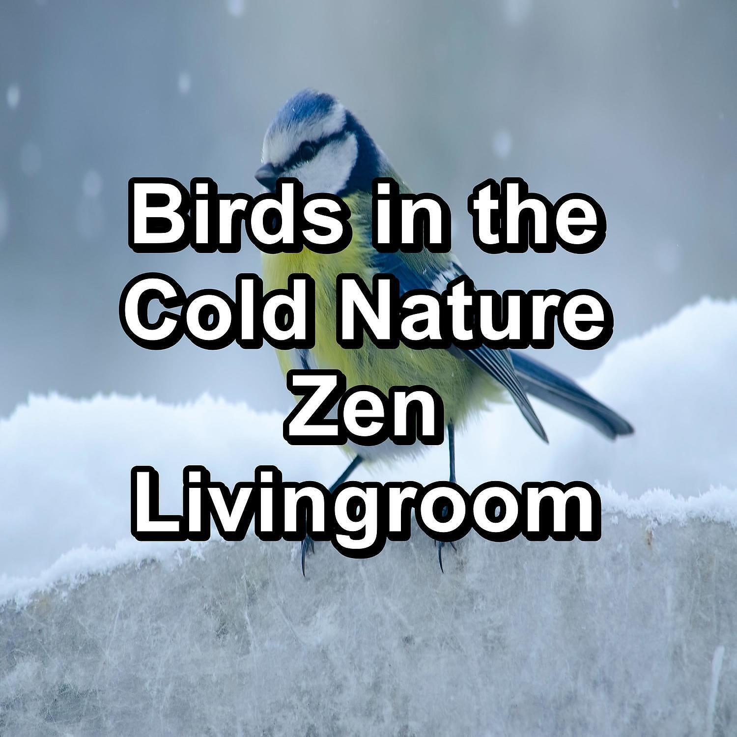 Релиз Birds in the Cold Nature Zen Livingroom