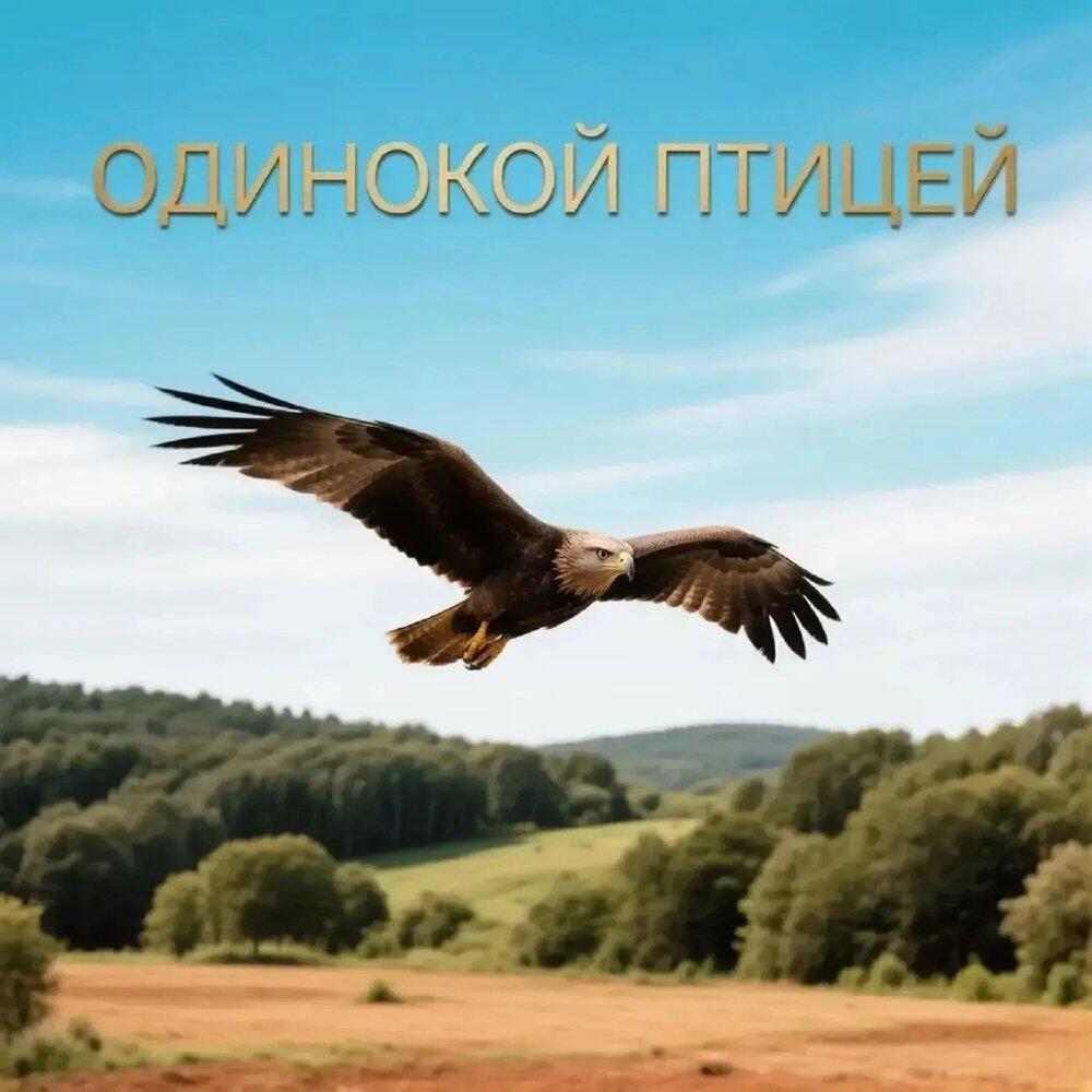 Релиз Одинокой птицей