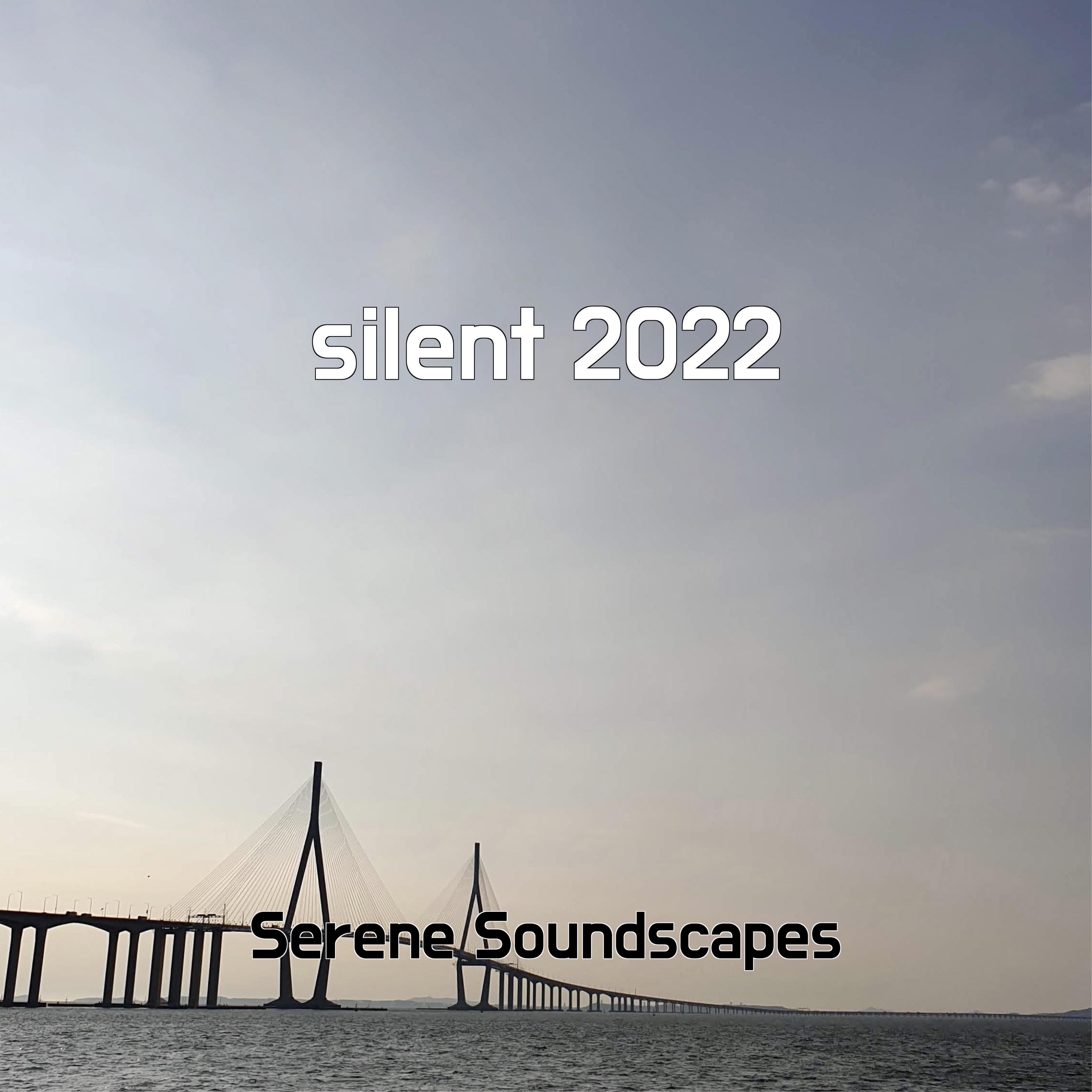 Релиз silent 2022