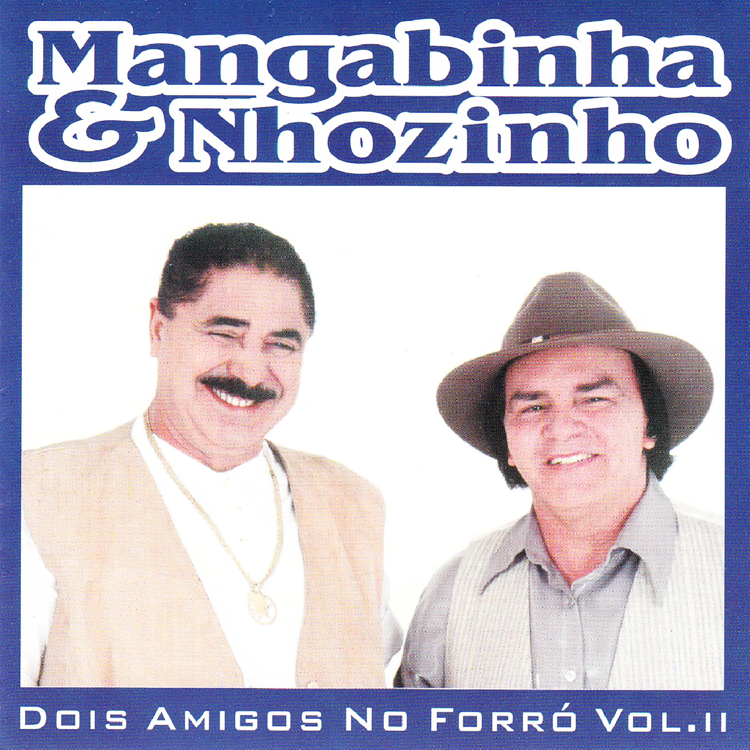 Релиз Solos de Acordeon - Dois Amigos No Forró, Vol. 2