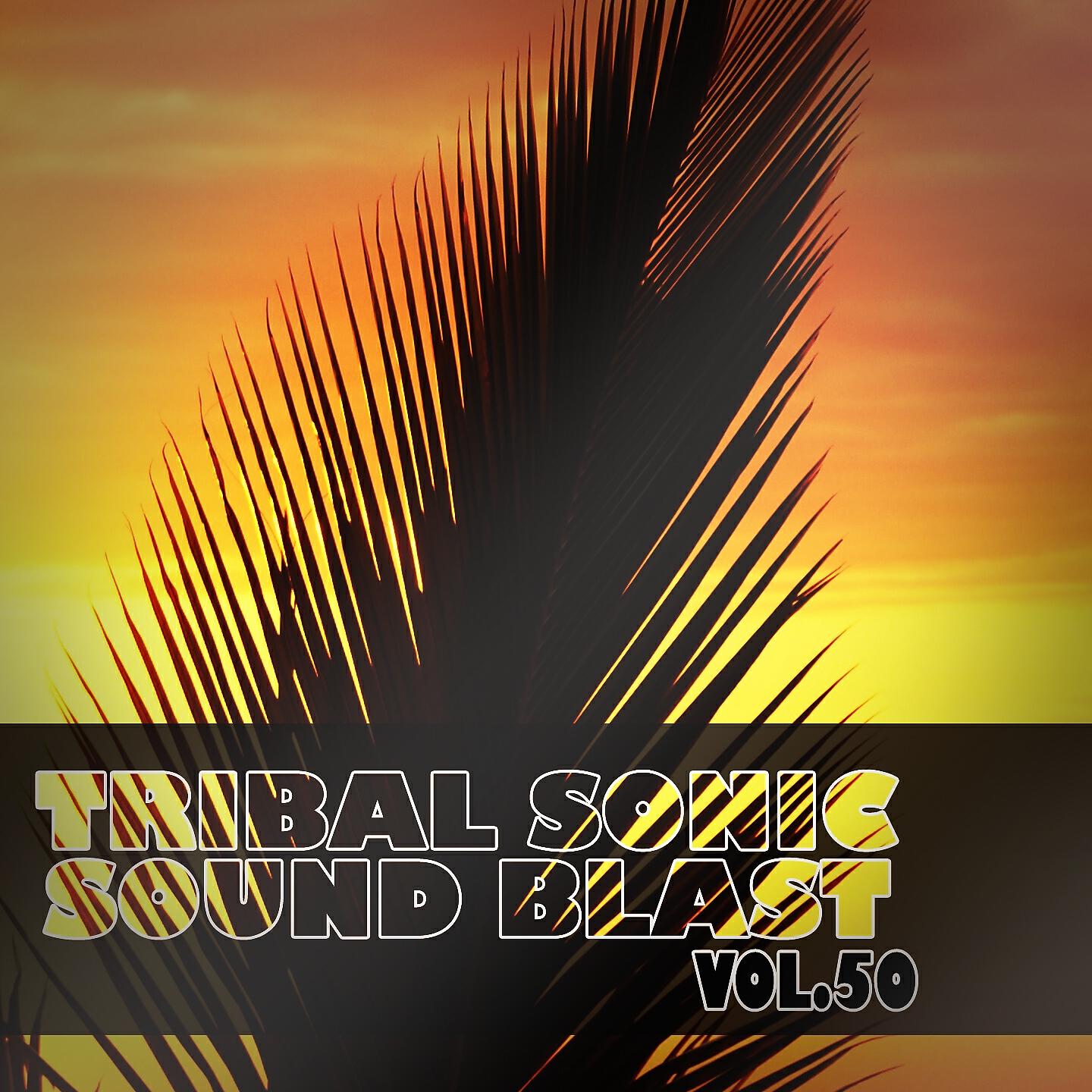 Релиз Tribal Sonic Soundblast,Vol.50