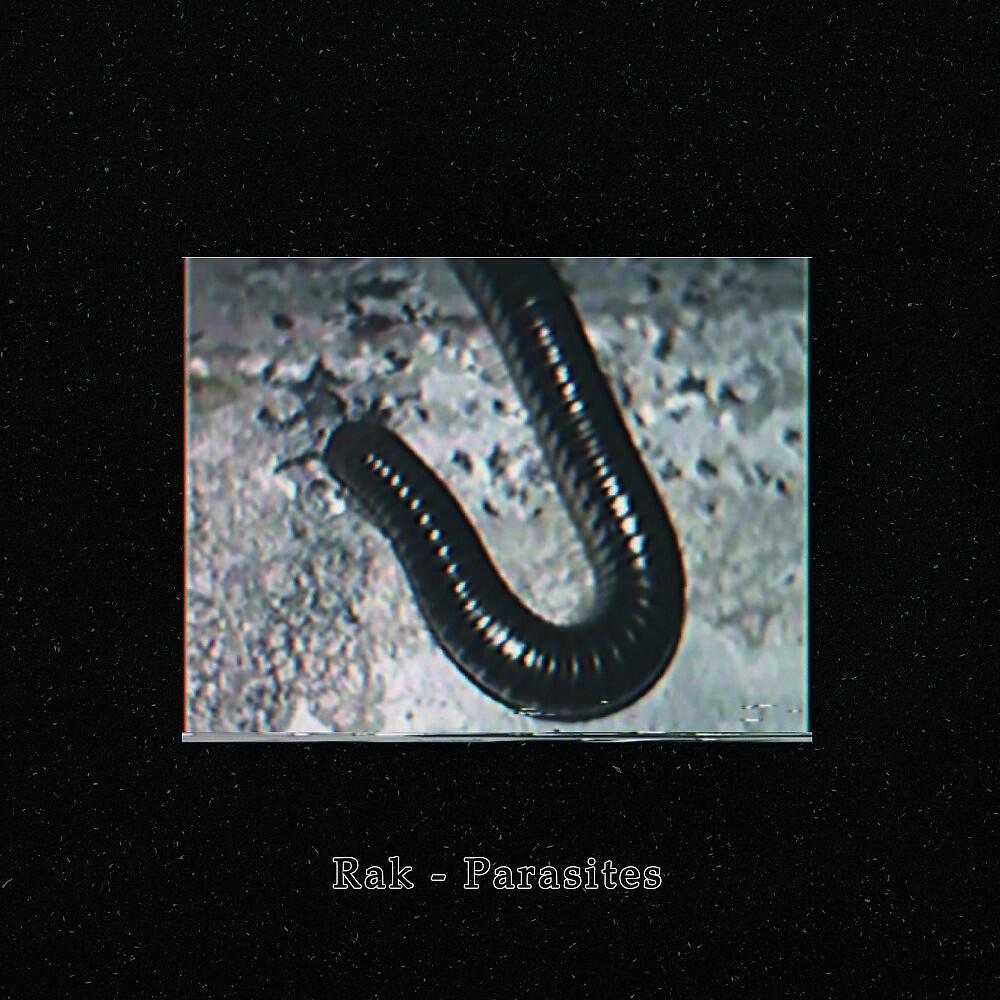 Релиз Parasites