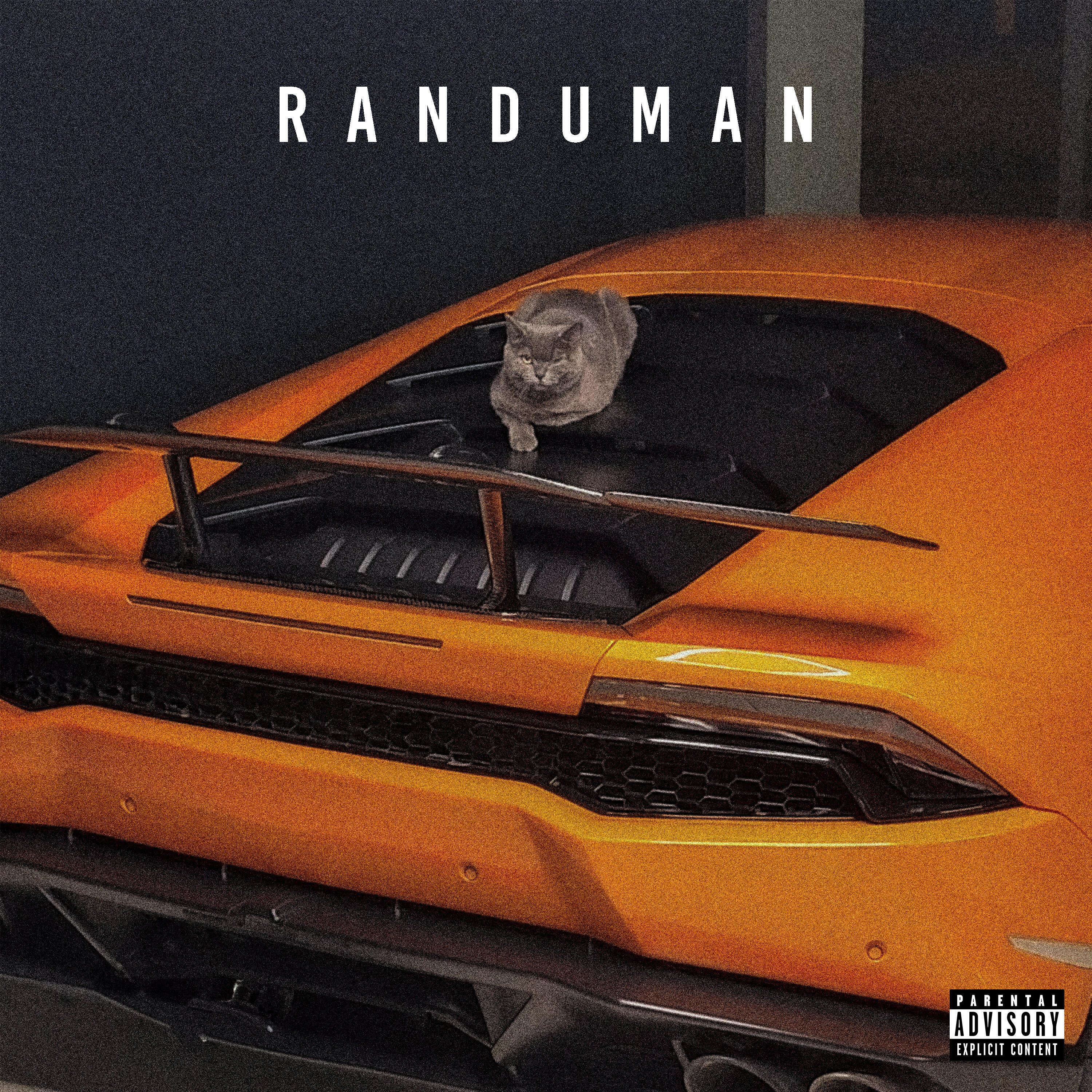 Релиз RanDuman