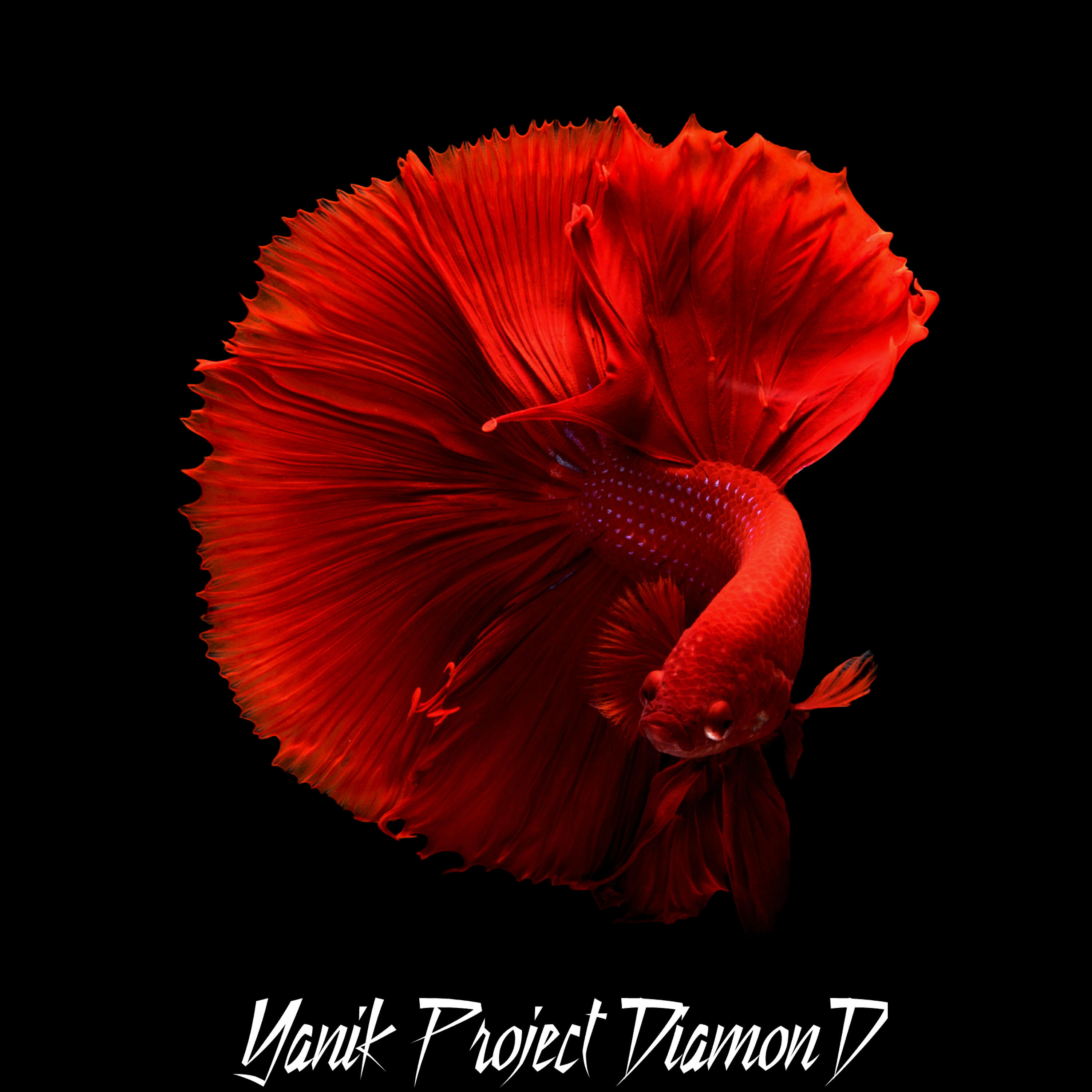 Релиз DiamonD