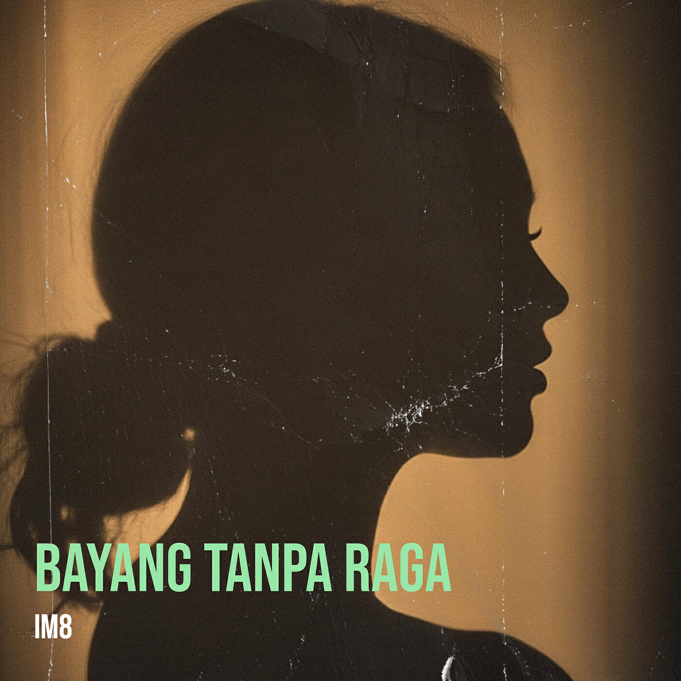 Релиз Bayang Tanpa Raga