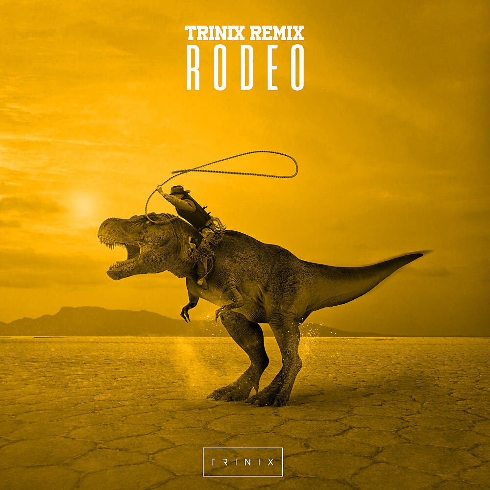 Постер альбома Rodeo