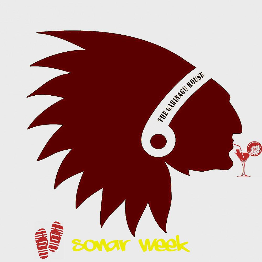 Релиз Sonar Week