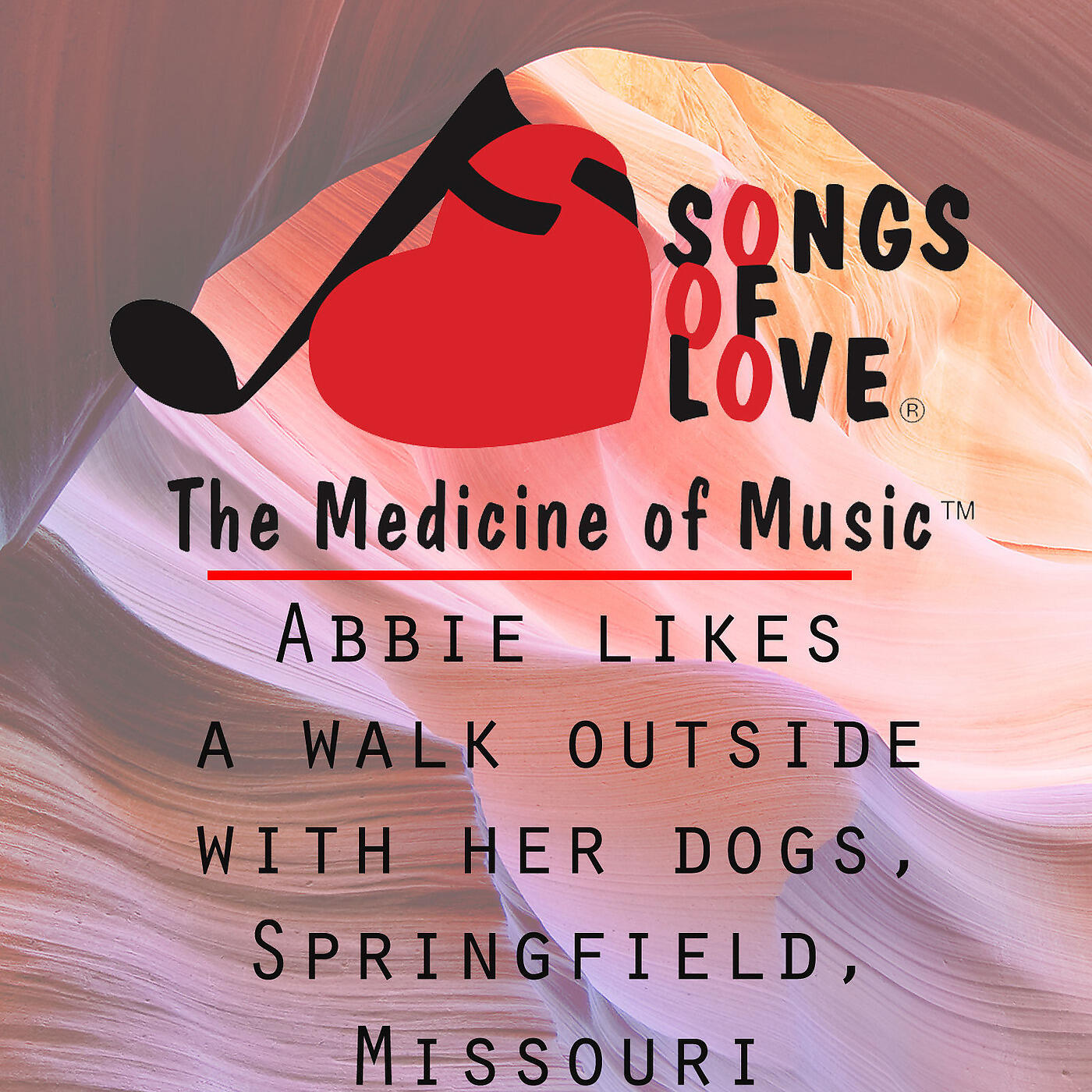 Постер альбома Abbie Likes a Walk Outside with Her Dogs, Springfield, Missouri