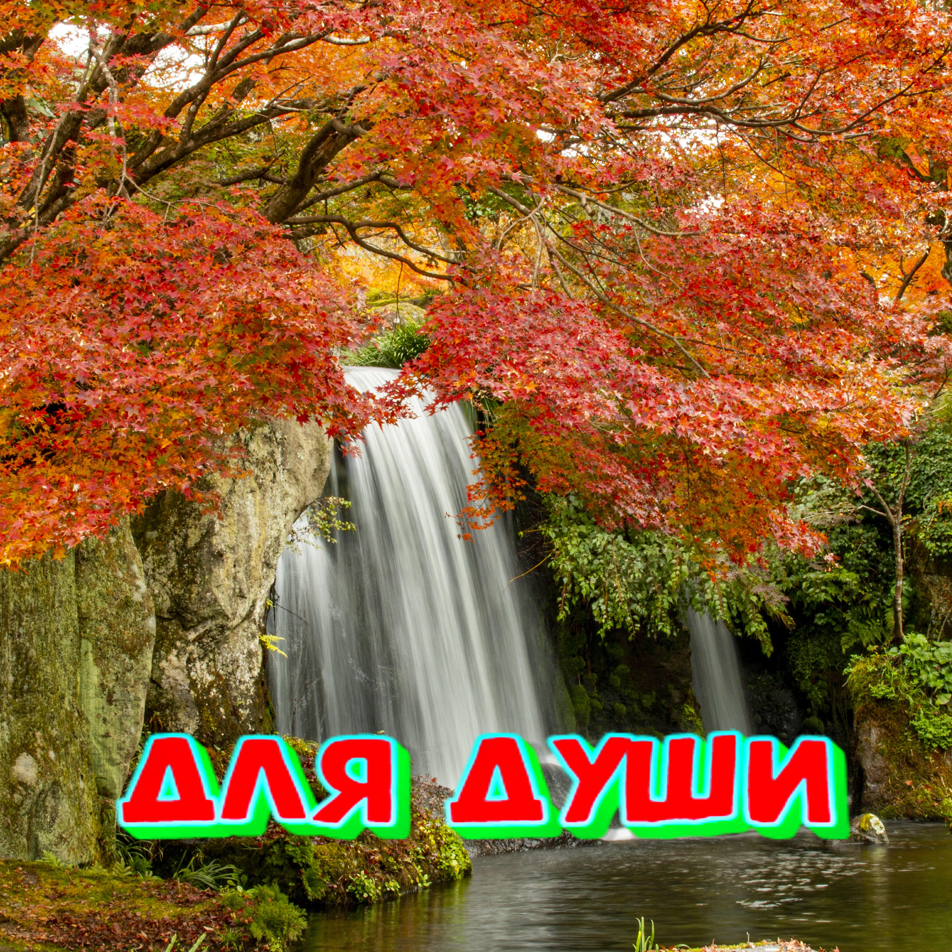 Постер альбома Для души