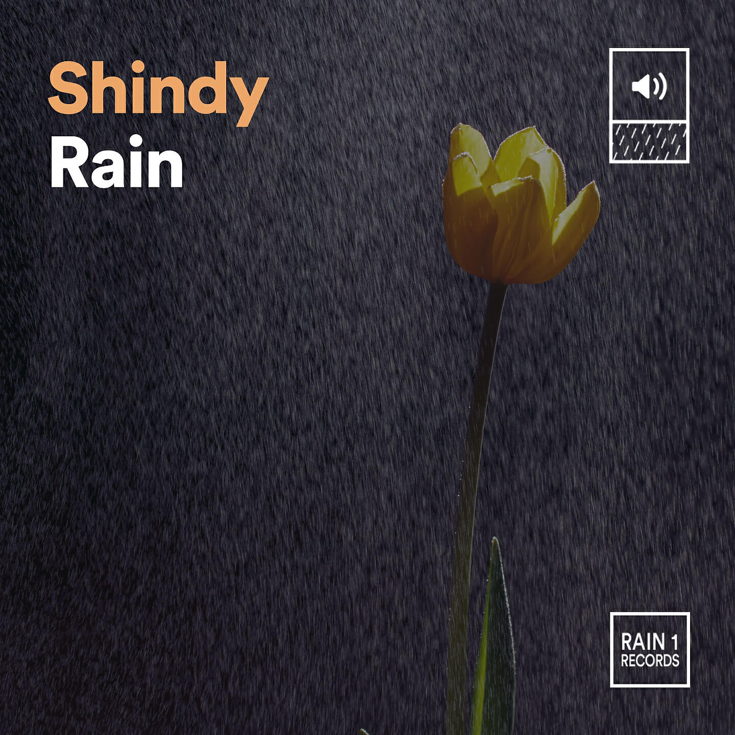 Релиз Shindy Rain