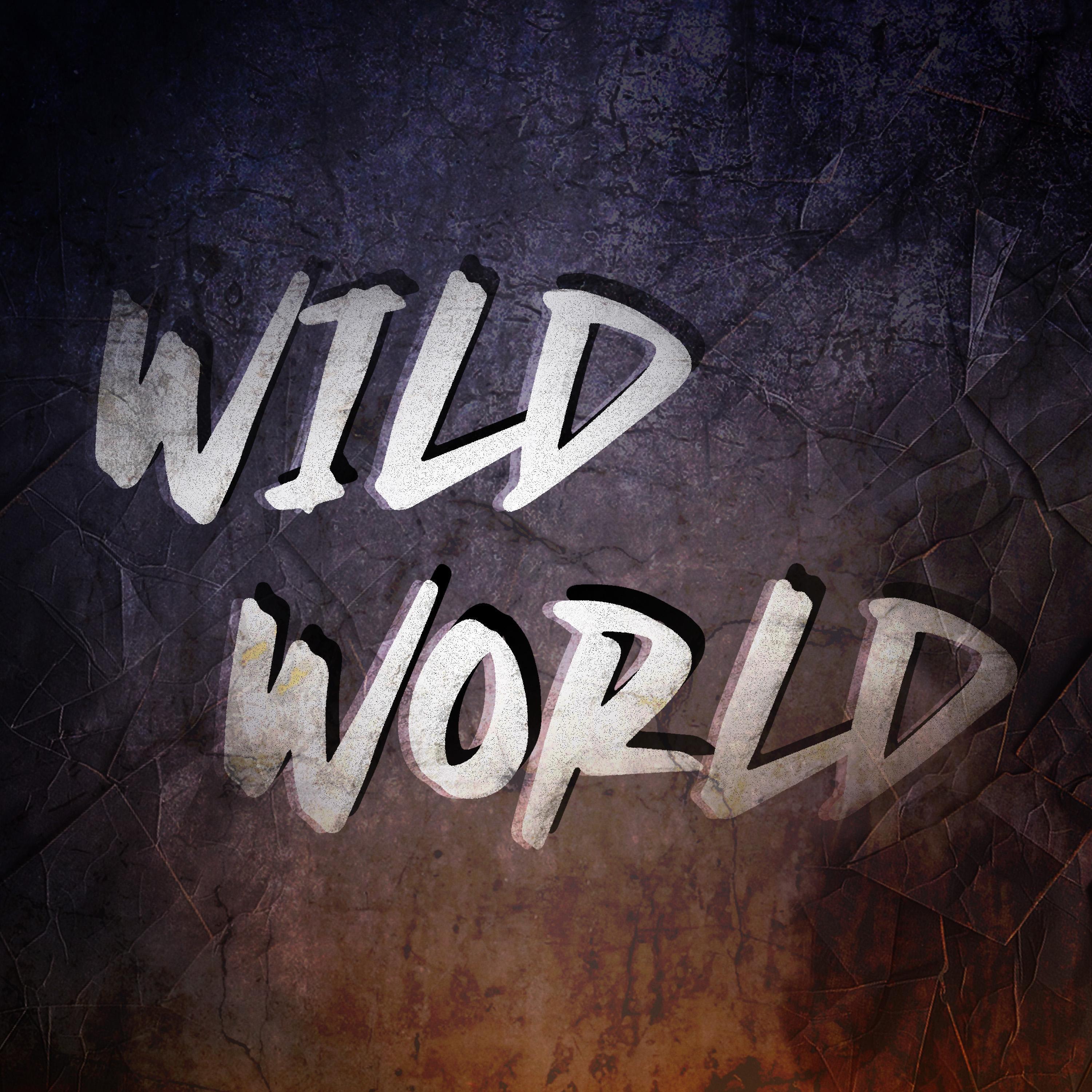 Релиз Wild World (Epic Version)