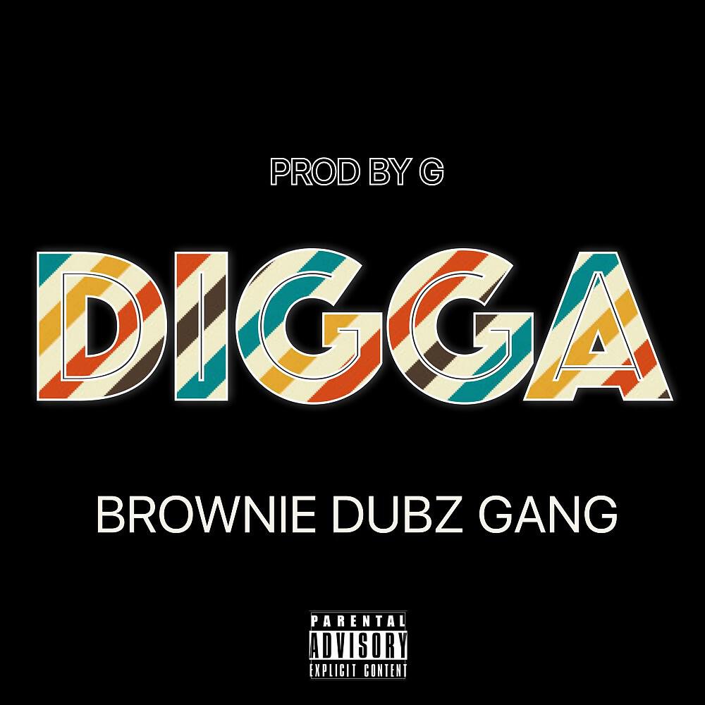 Релиз Digga