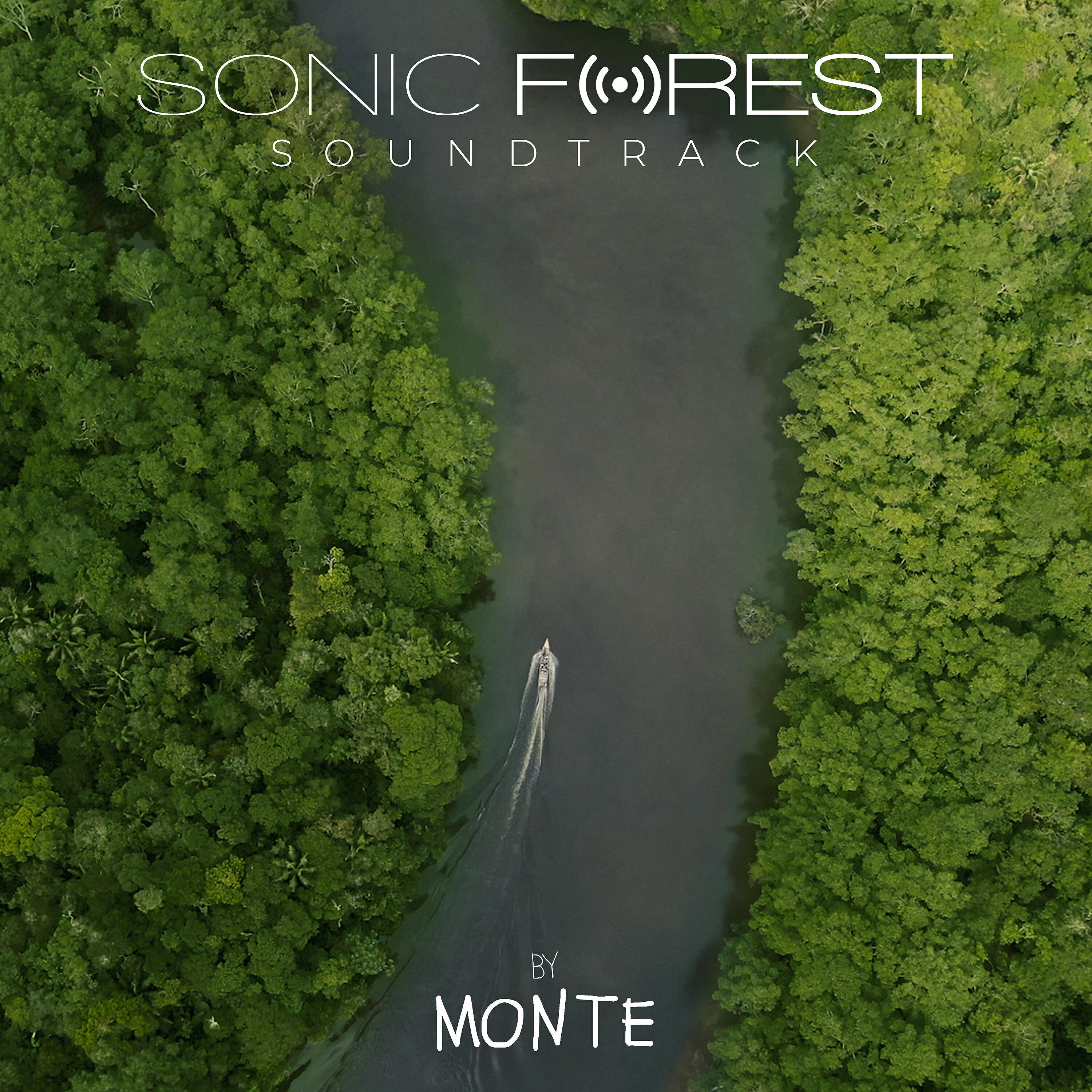 Релиз Sonic Forest