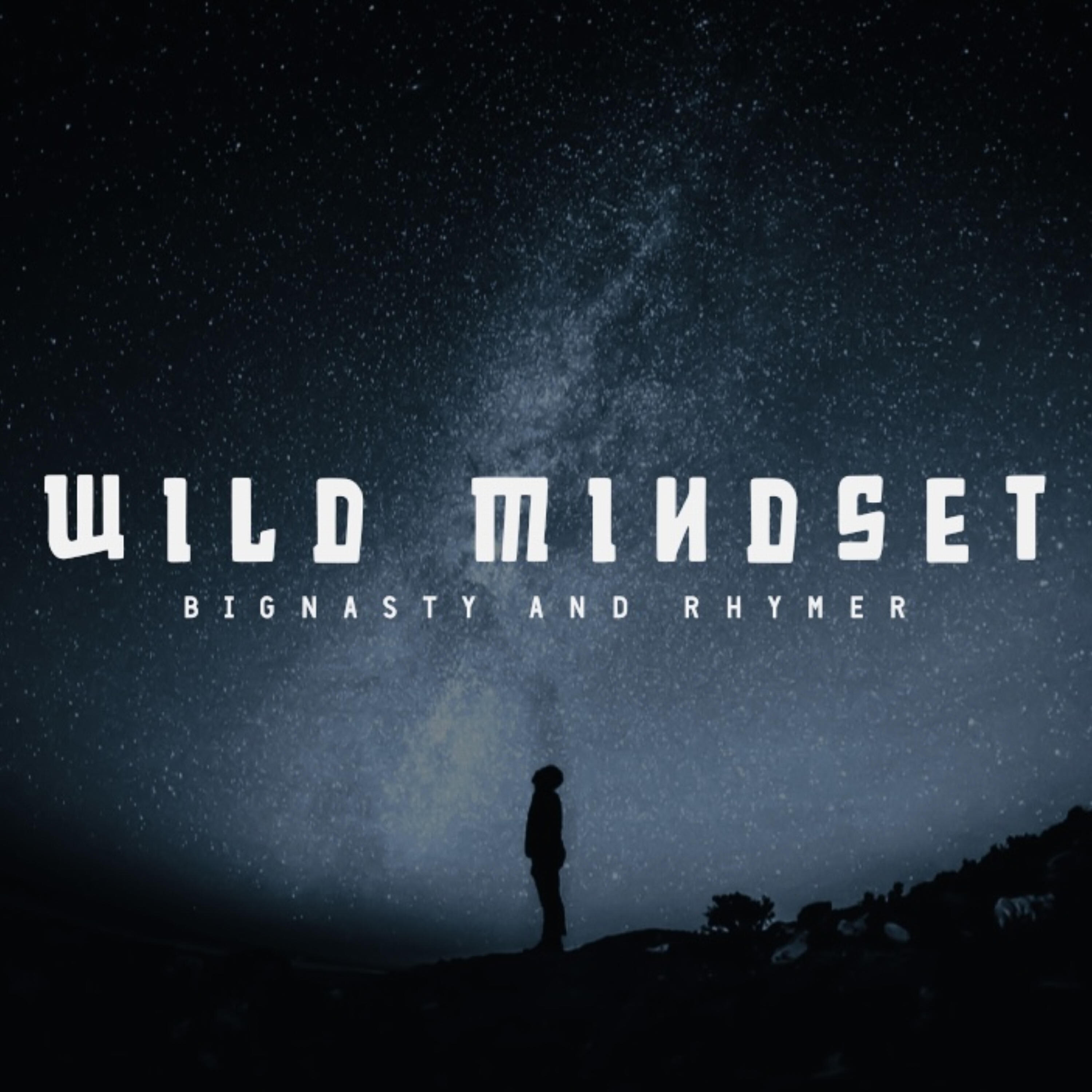 Релиз Wild Mindset