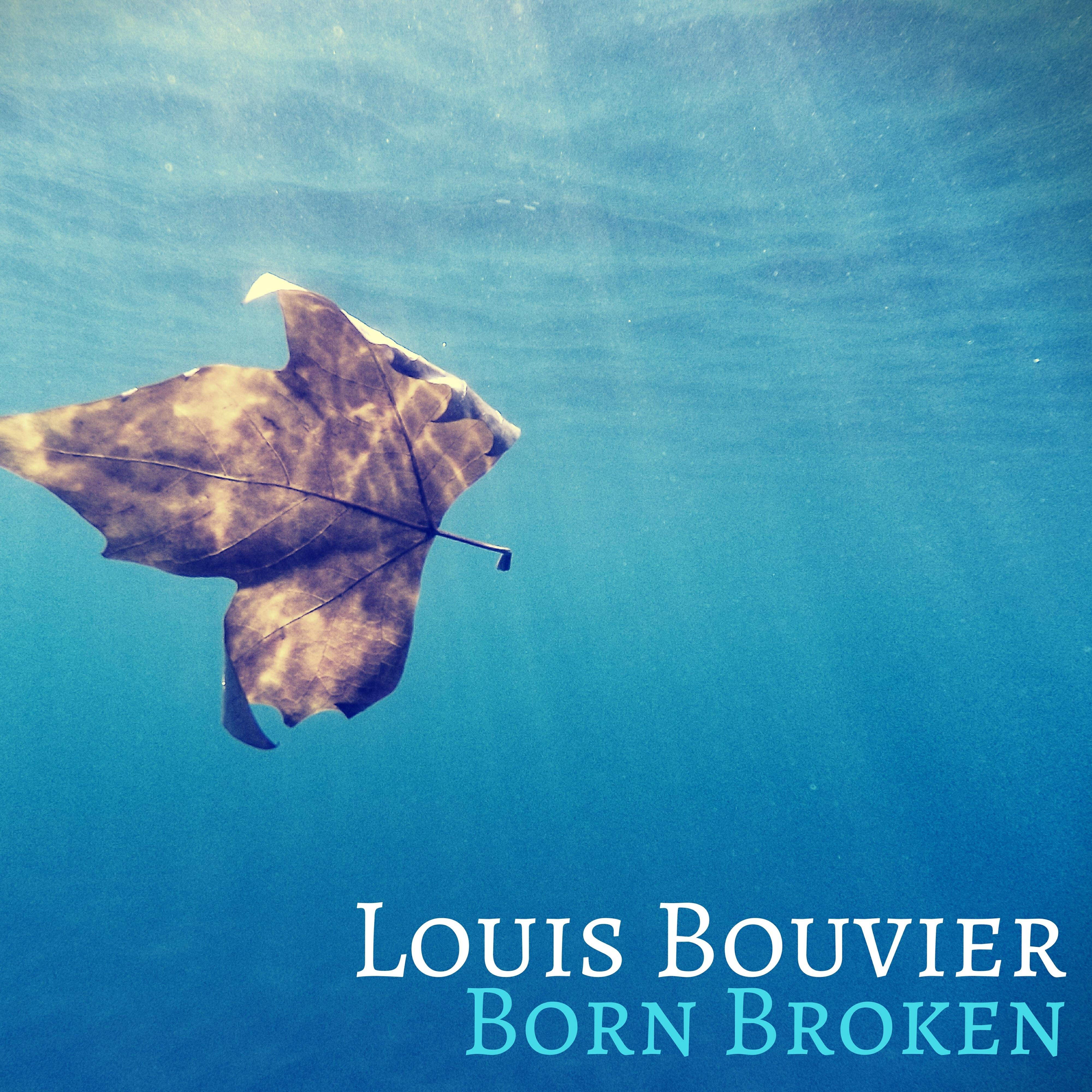 Louis Bouvier