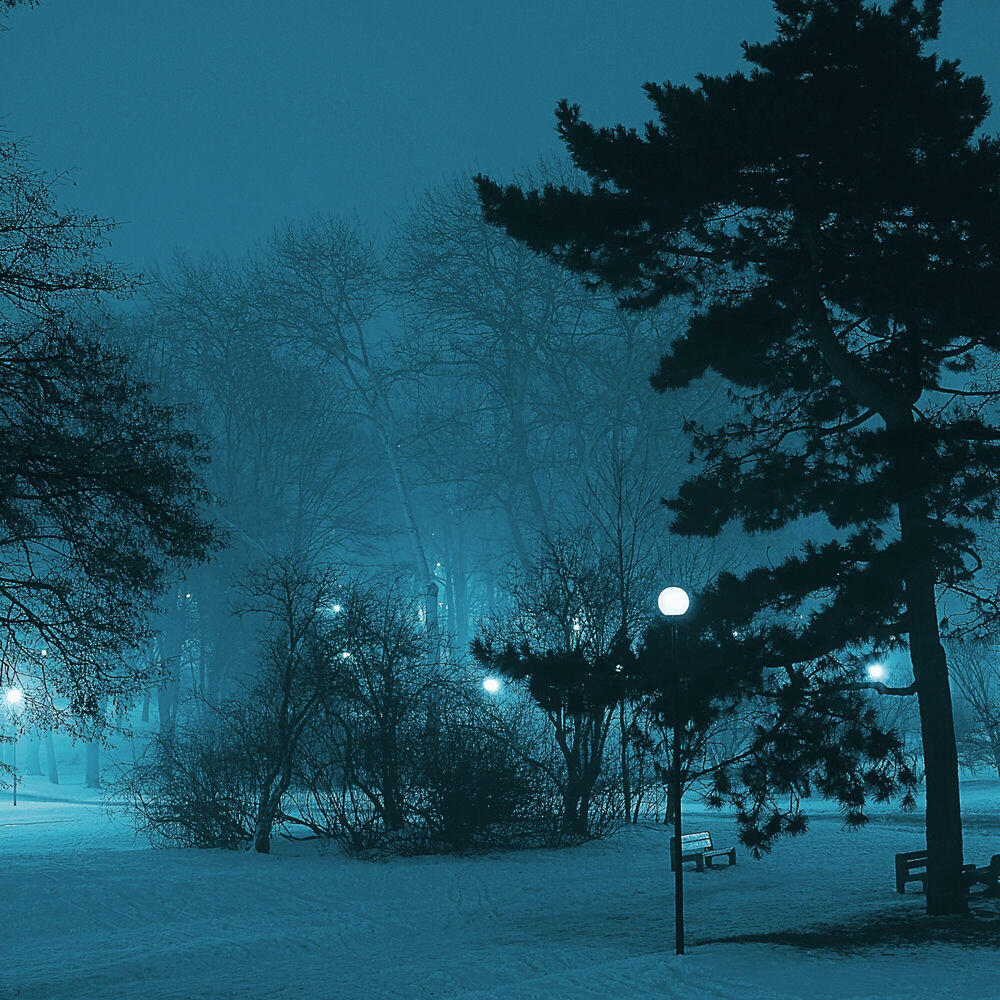 Релиз I Was Buried in the Snow and Died in My Sleep.