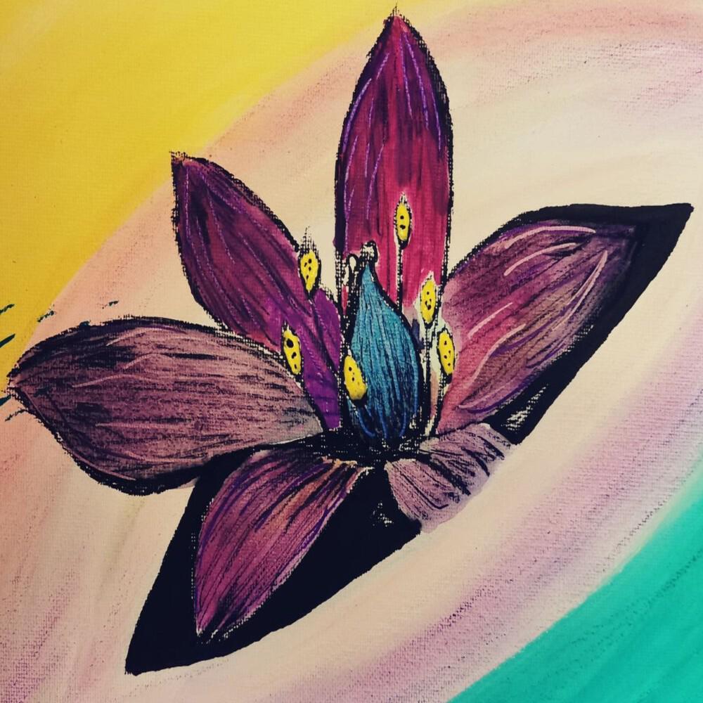 Релиз Paint and Print