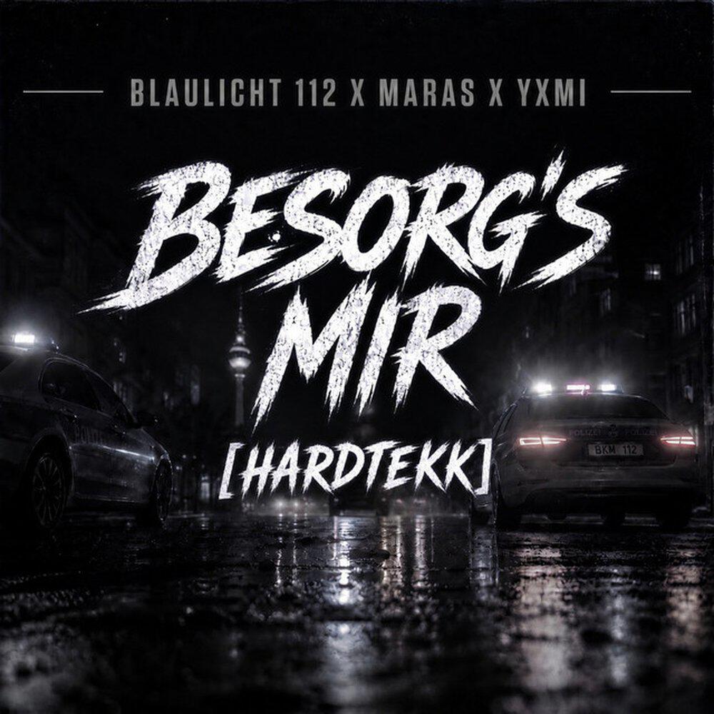 Релиз Besorg's mir (HARDTEKK)