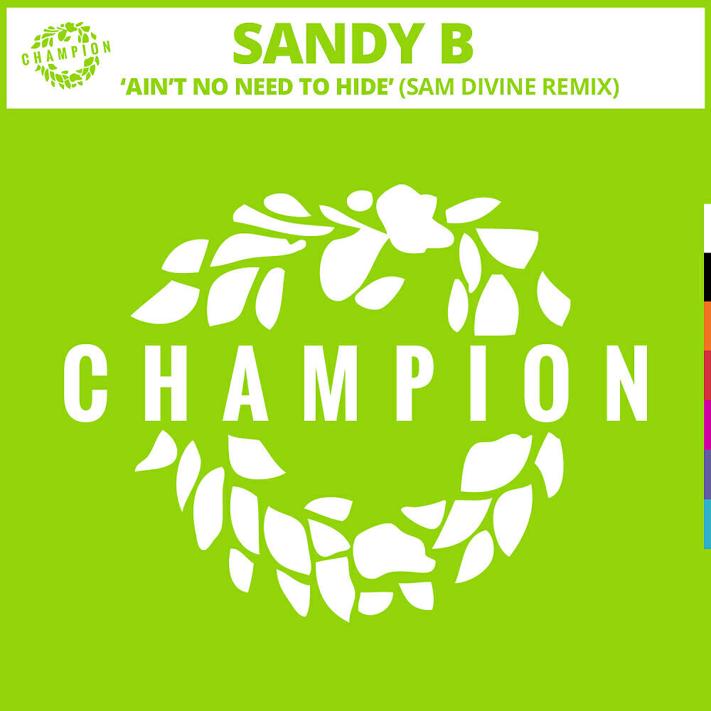 Релиз Ain't No Need To Hide (Sam Divine Remix)