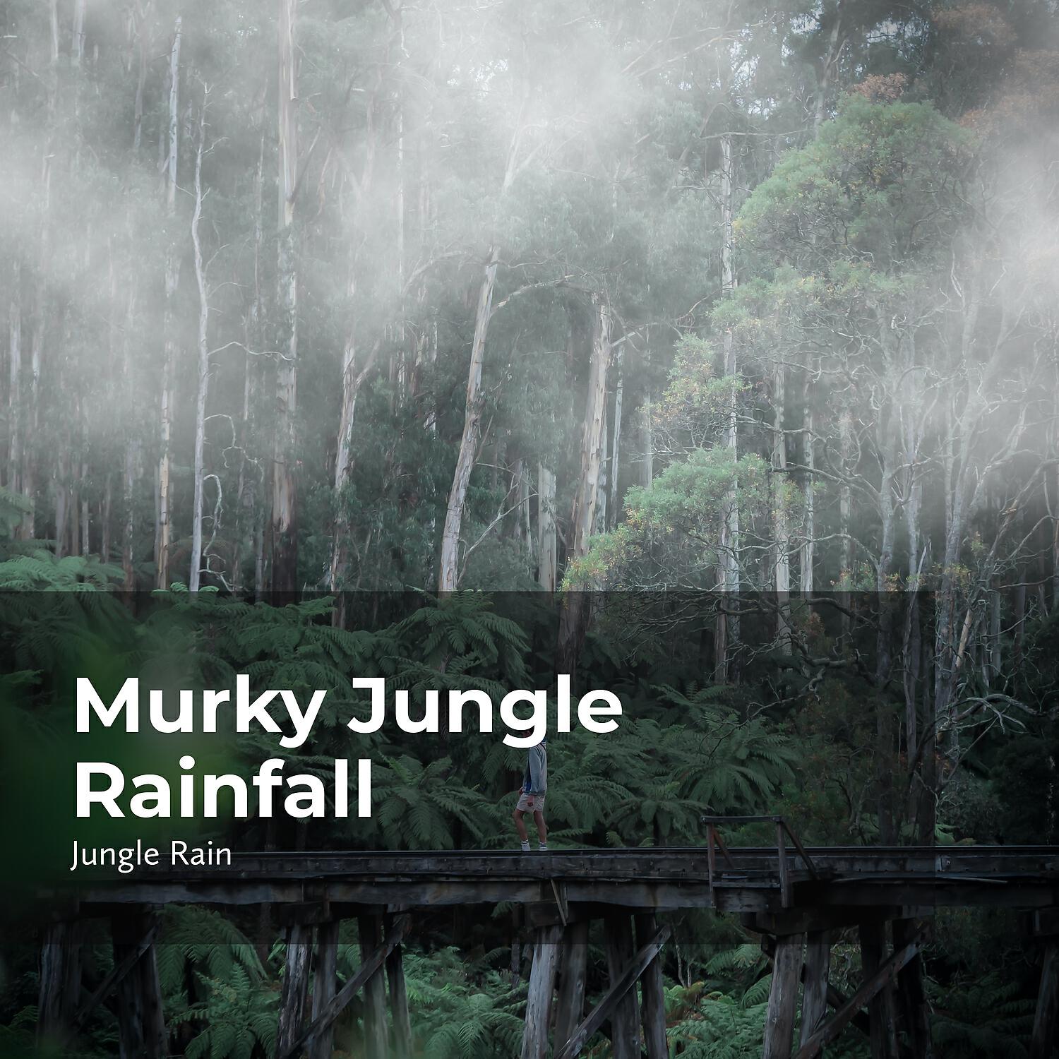 Релиз Murky Jungle Rainfall