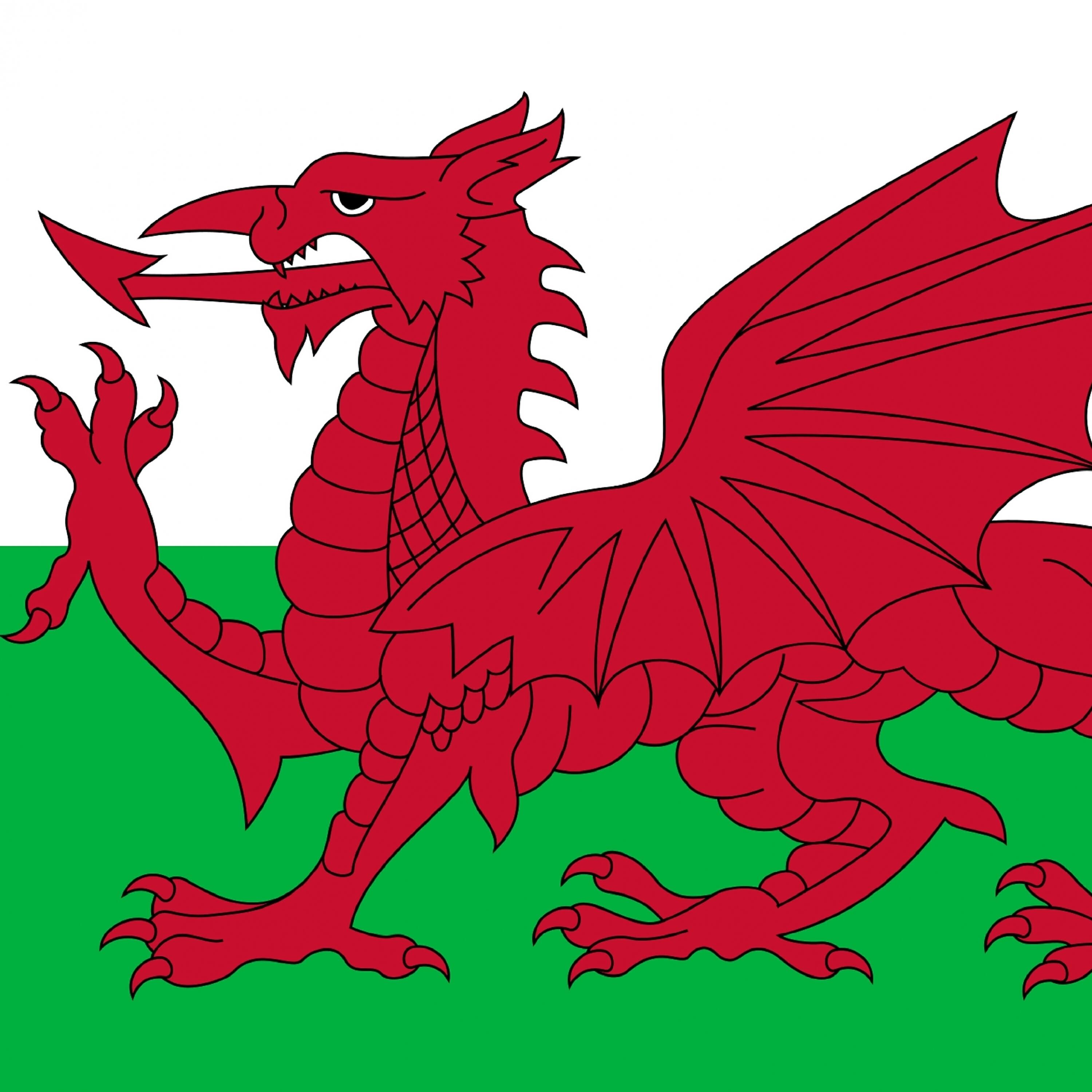 Релиз Sŵn Cymraeg